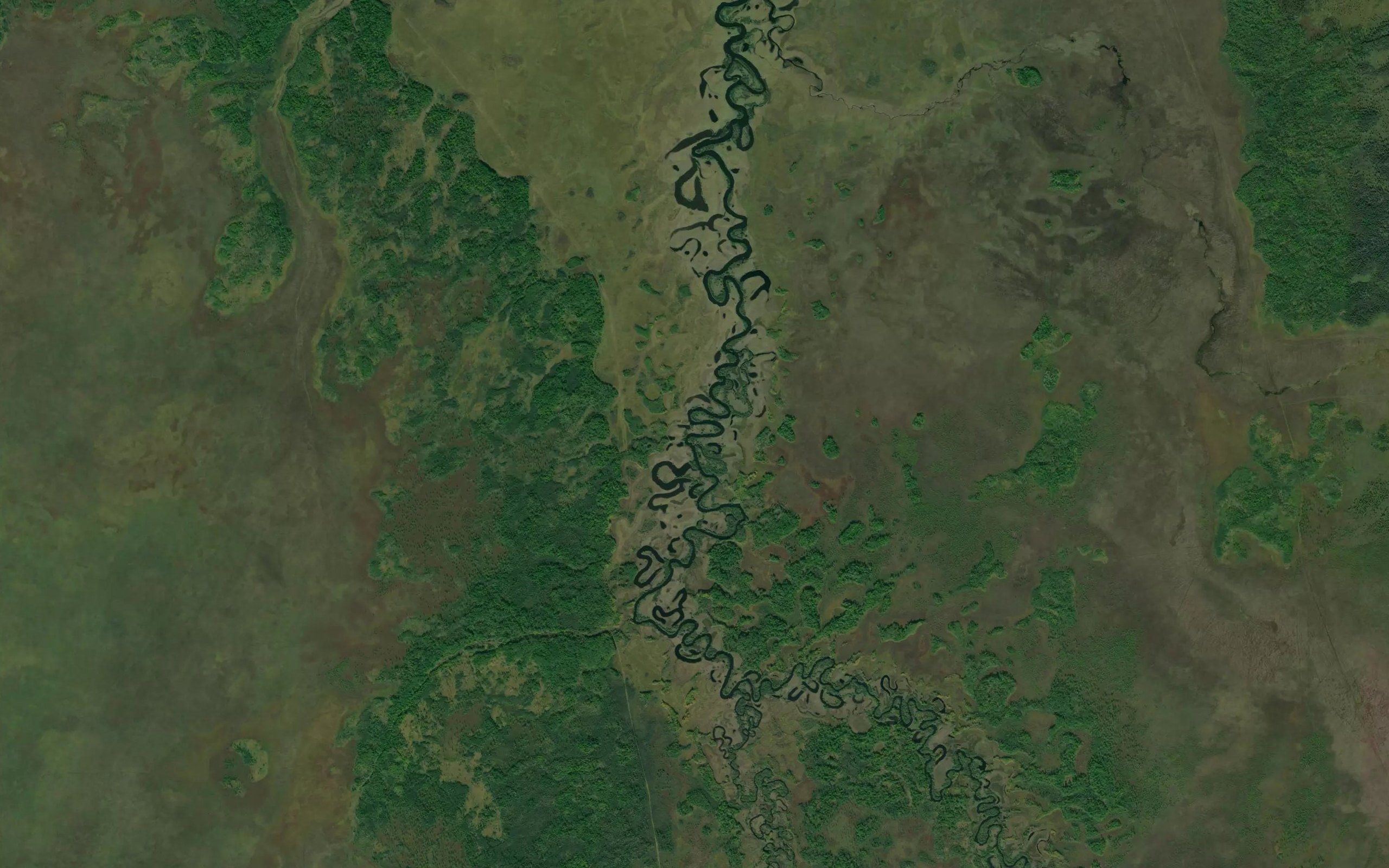 Pikhtsa