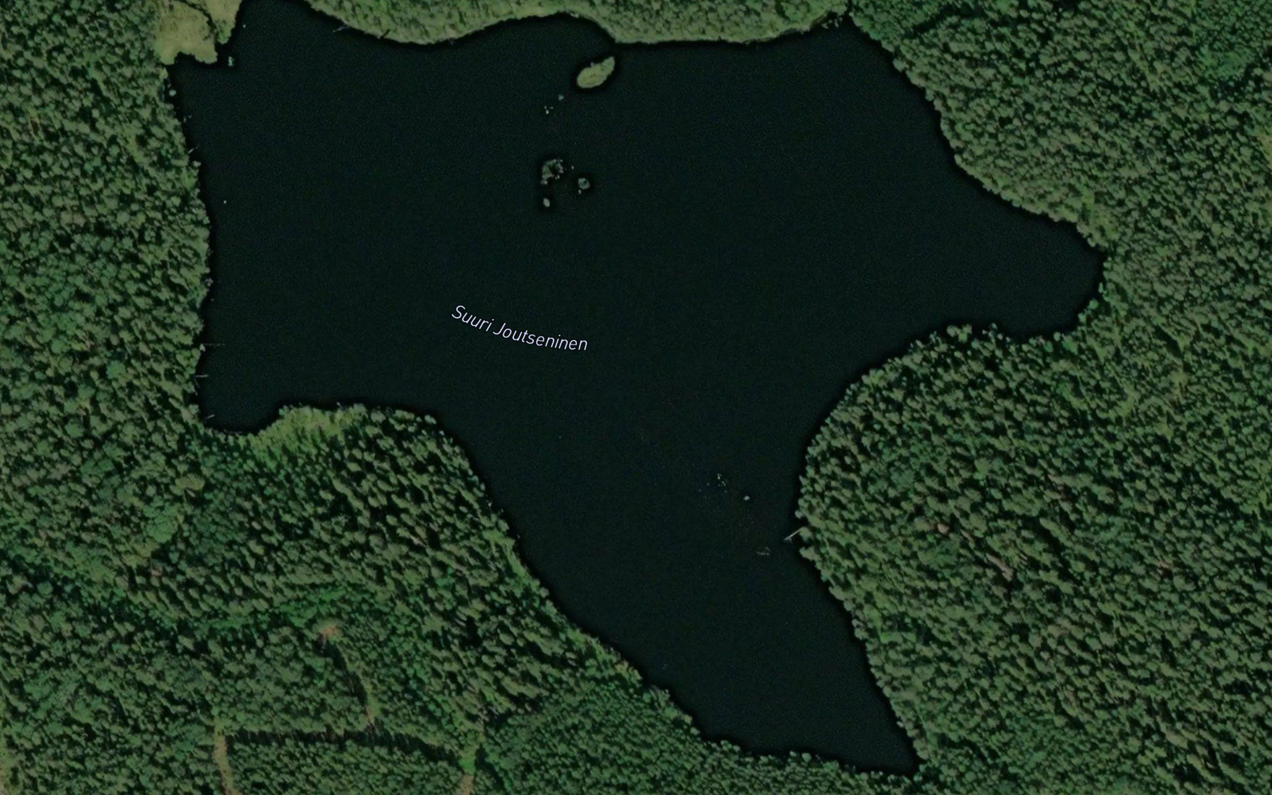 Suuri-Joutseninen