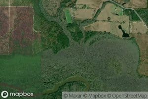 Dismal Creek