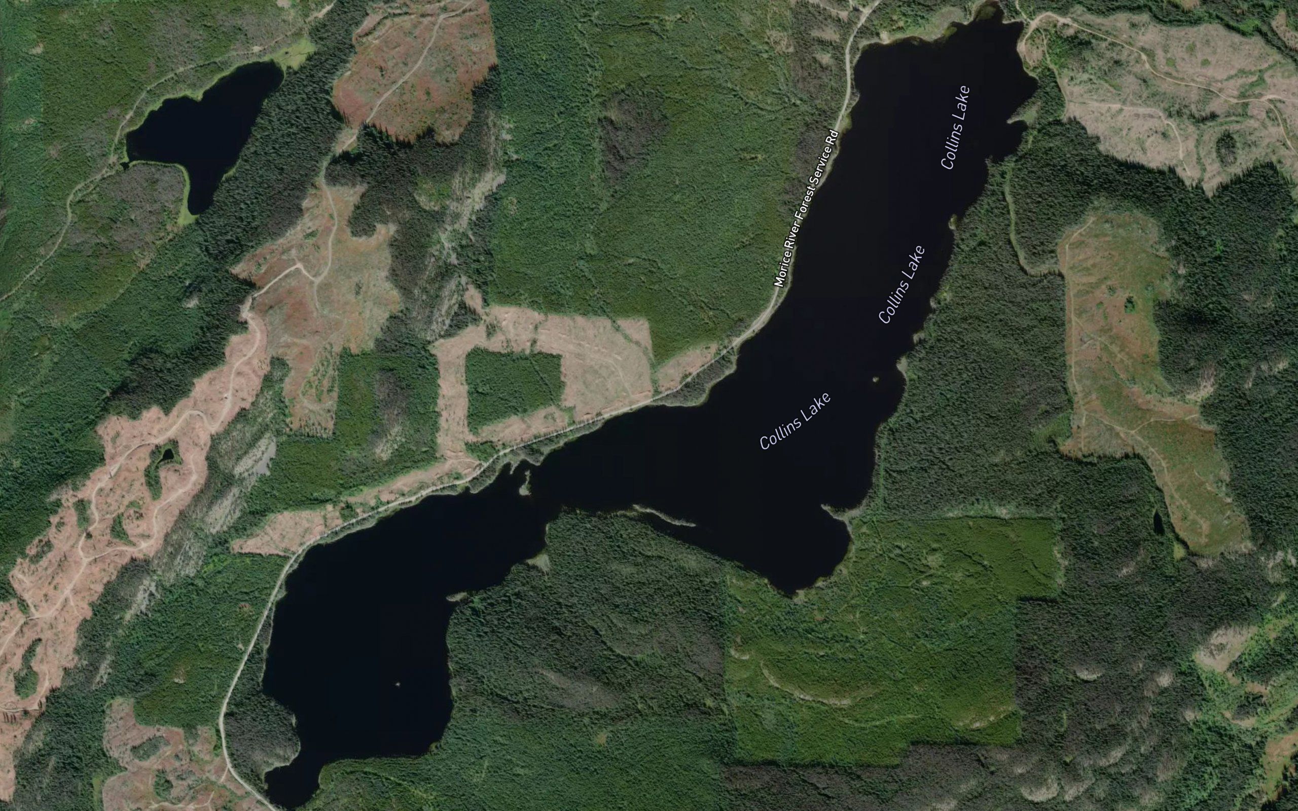 Collins Lake
