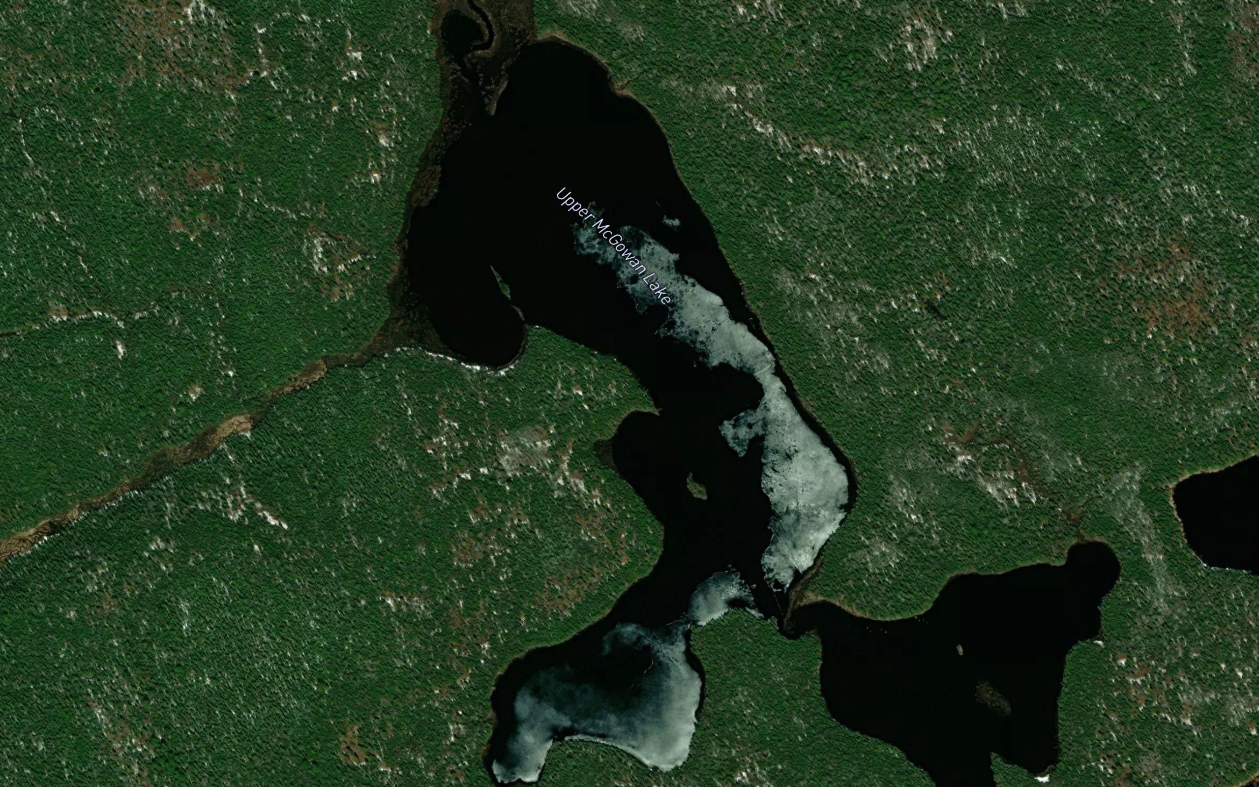 Upper McGowan Lake