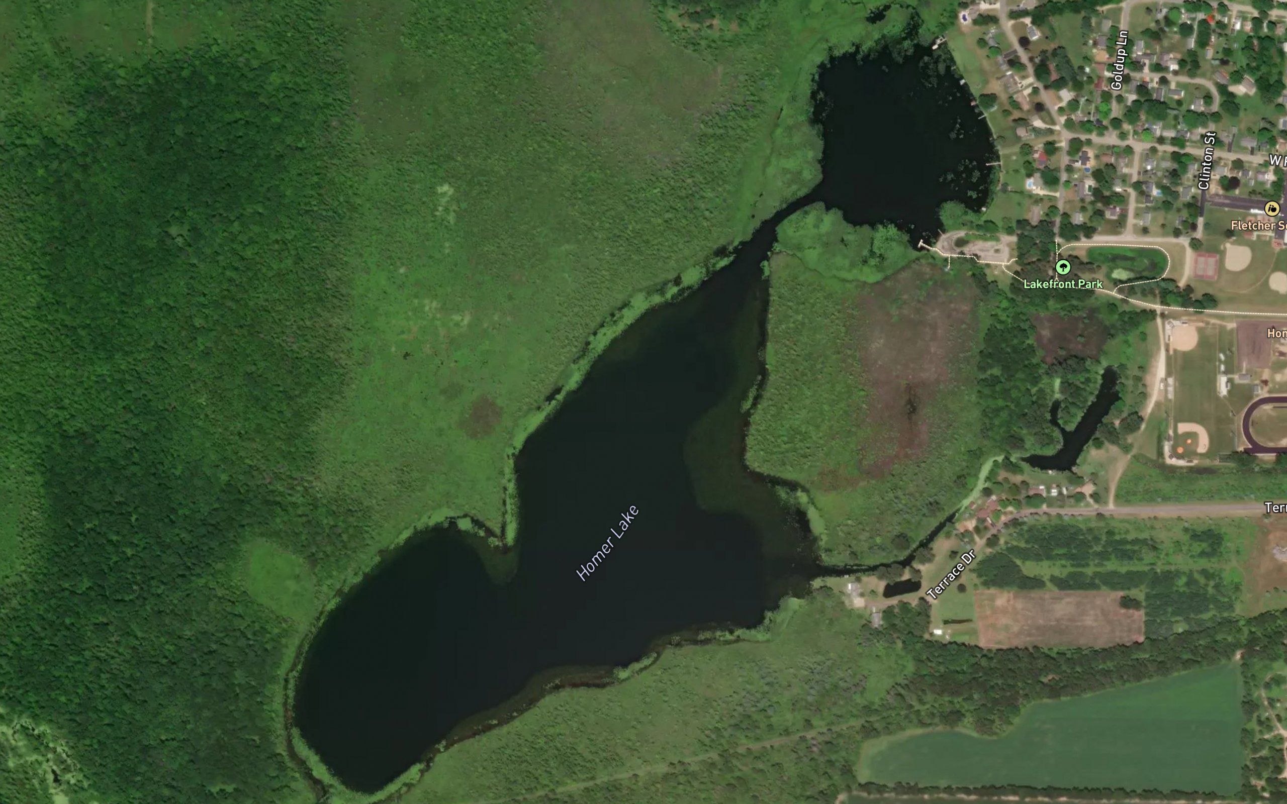 Homer Lake