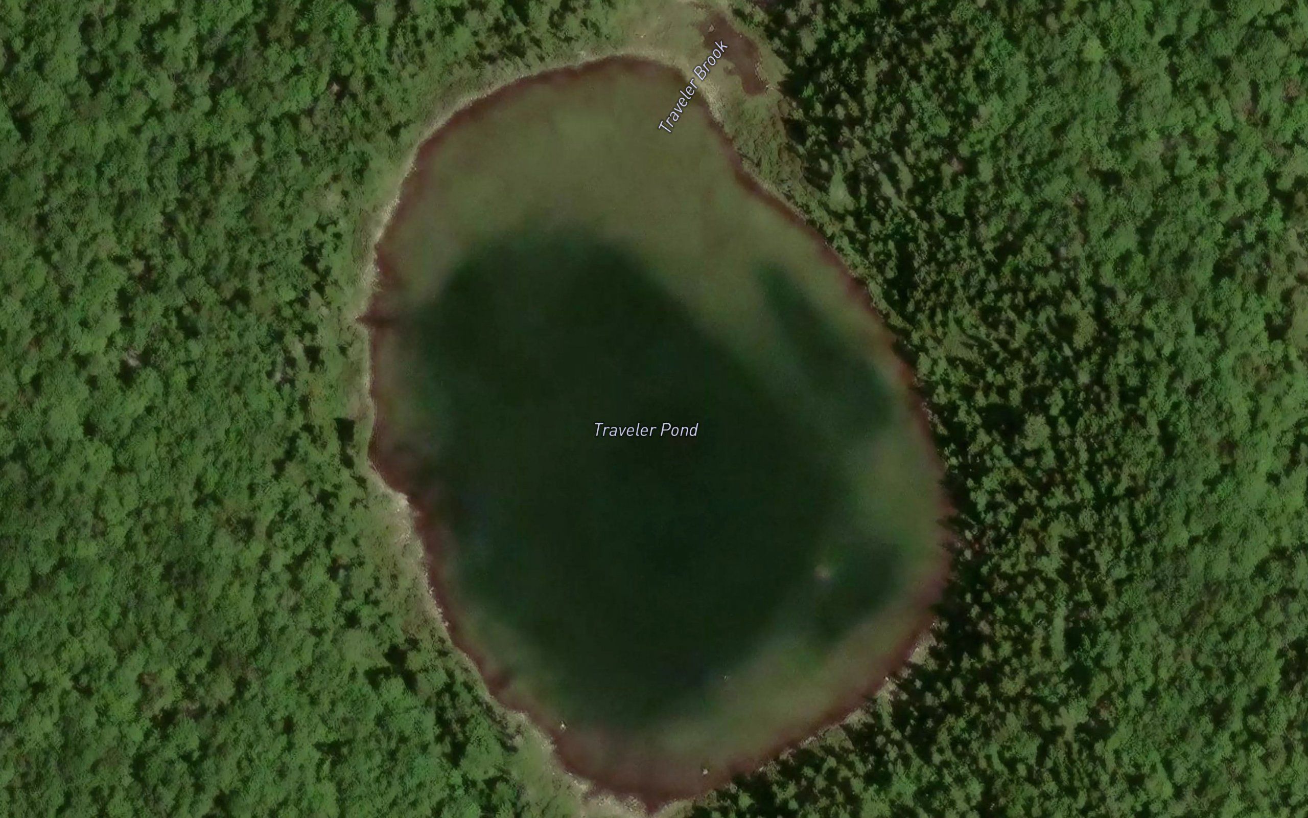 Traveler Pond