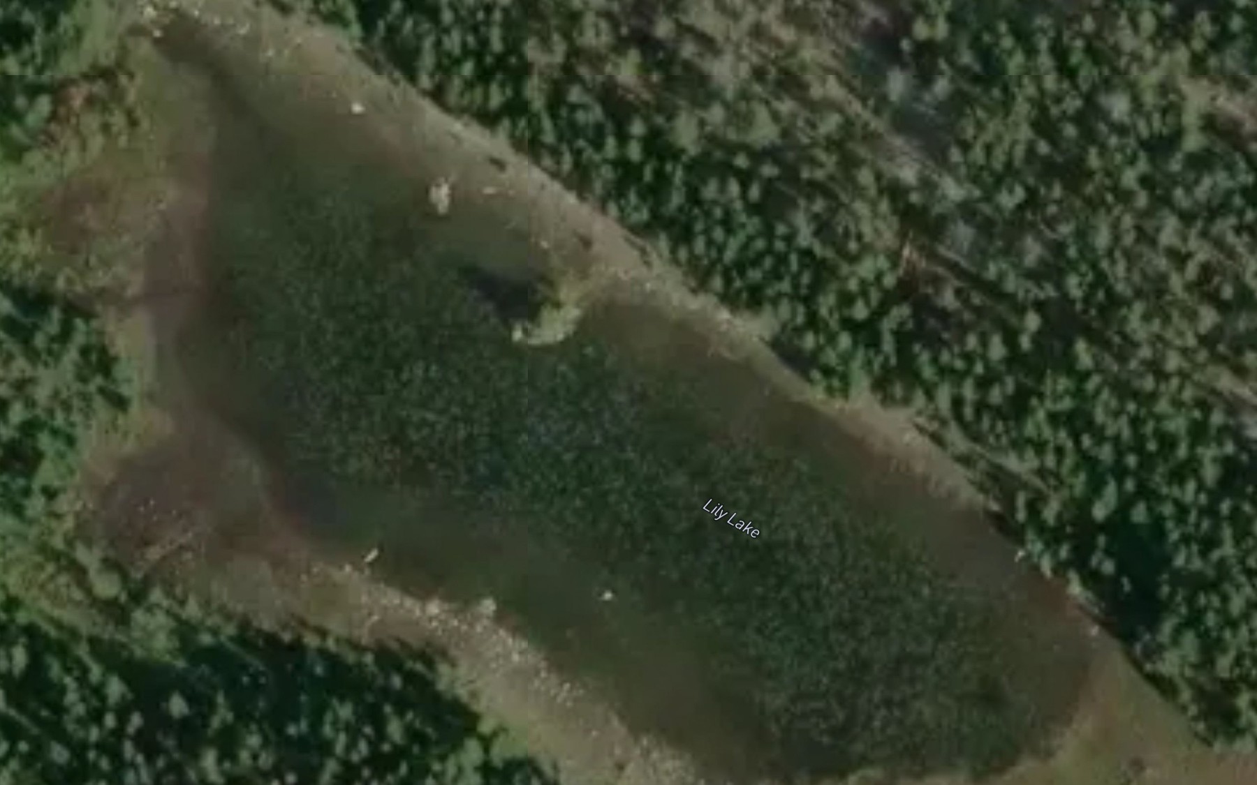 Satellite map of the Lily Lake