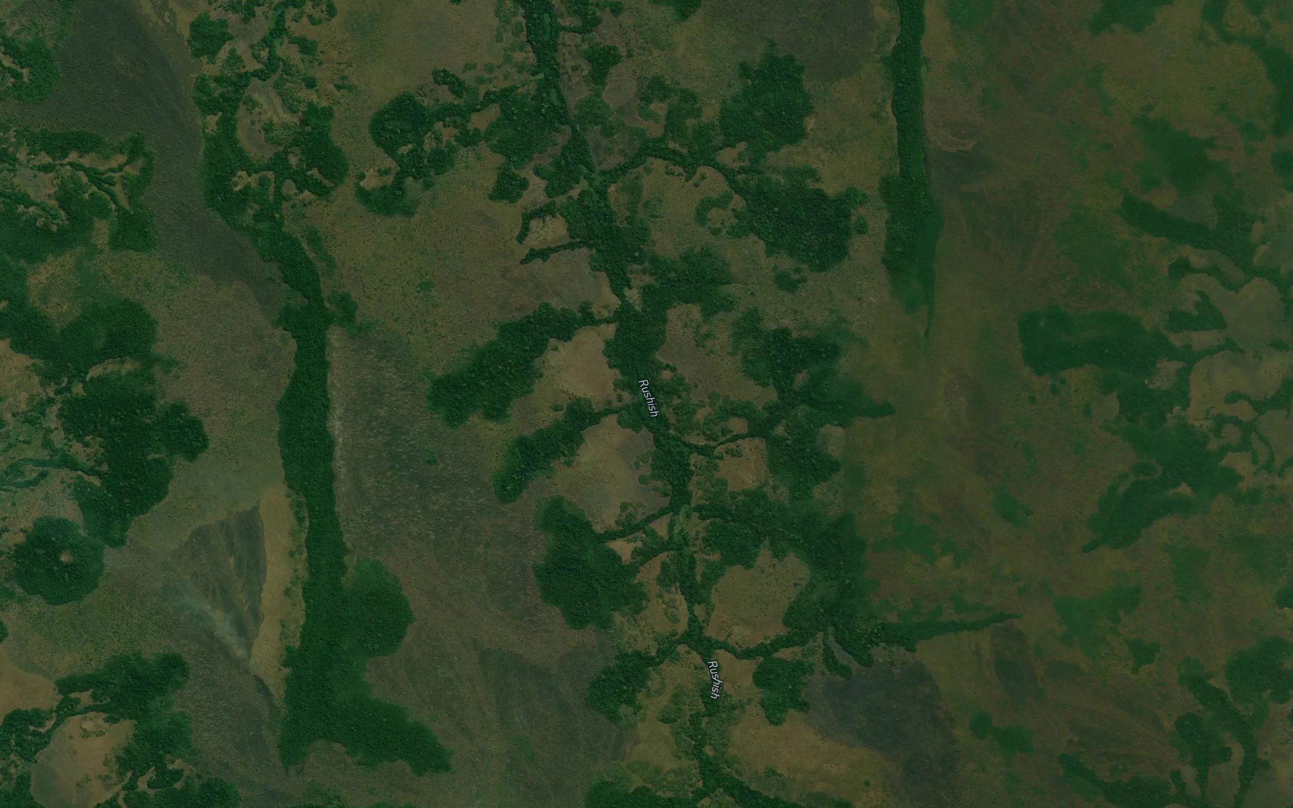 Kamuala