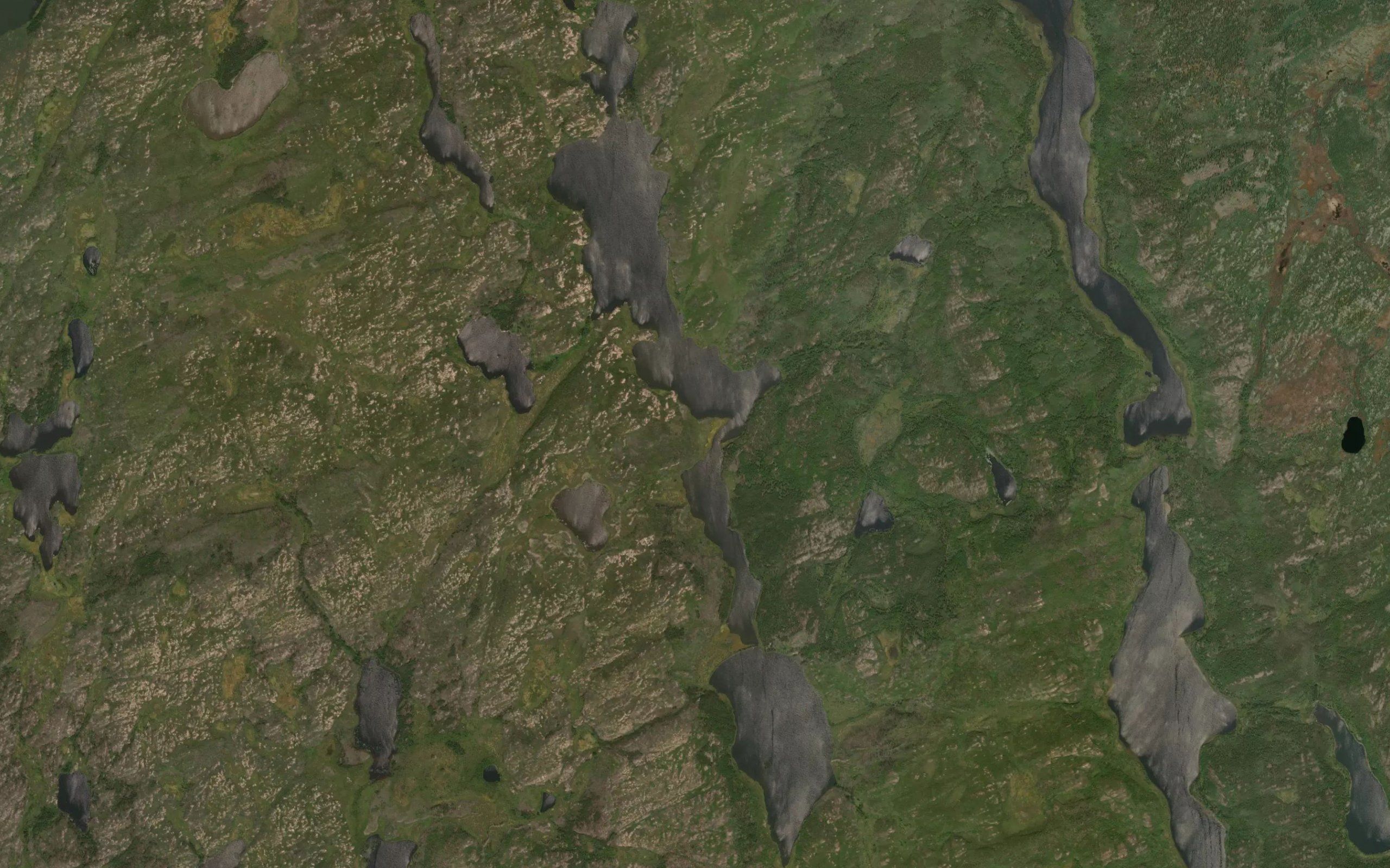 Collins Lake