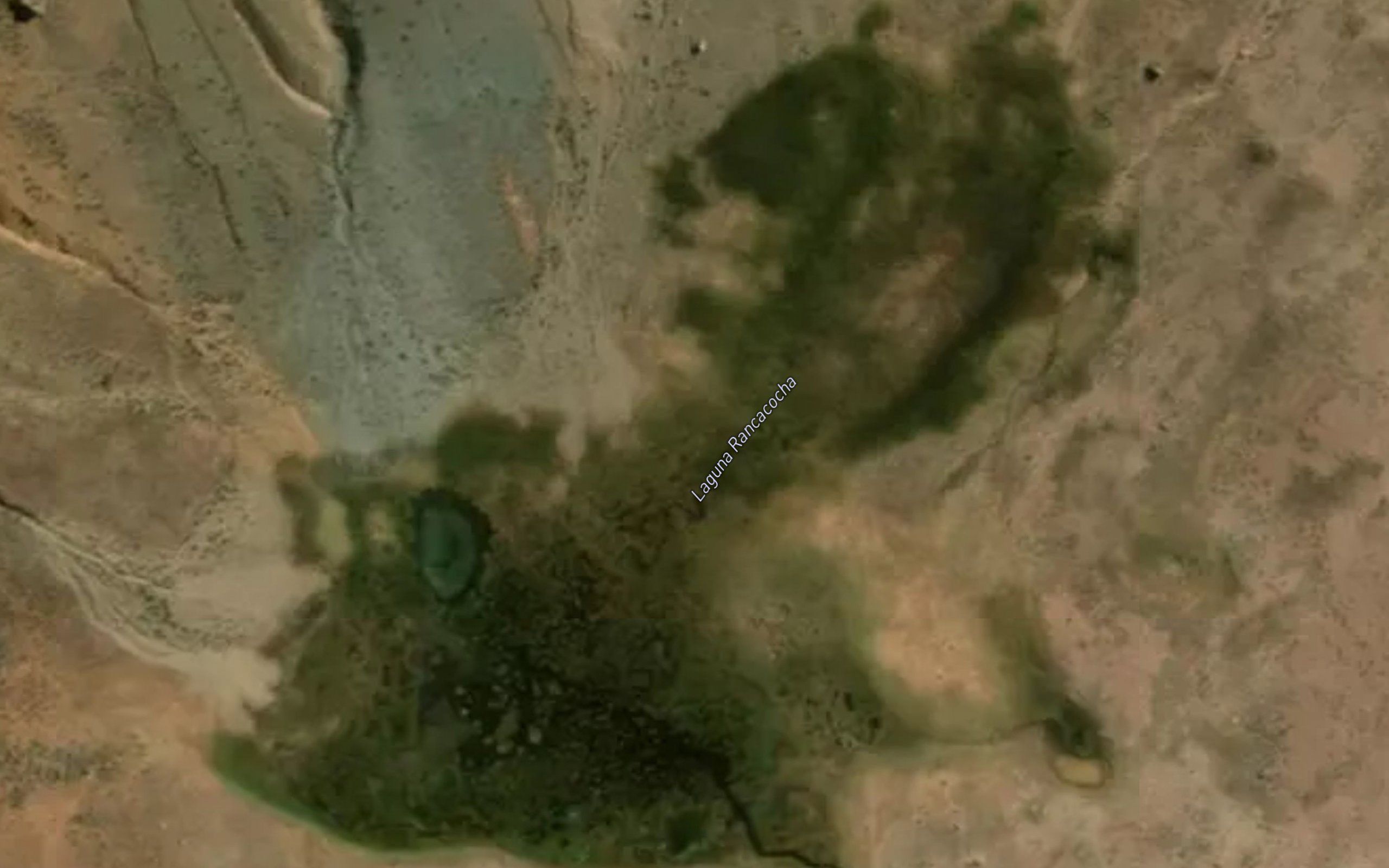 Laguna Rancacocha