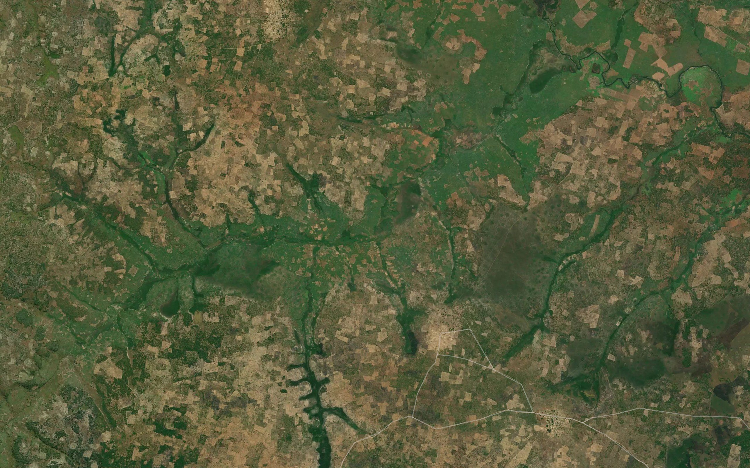 Cassaquela