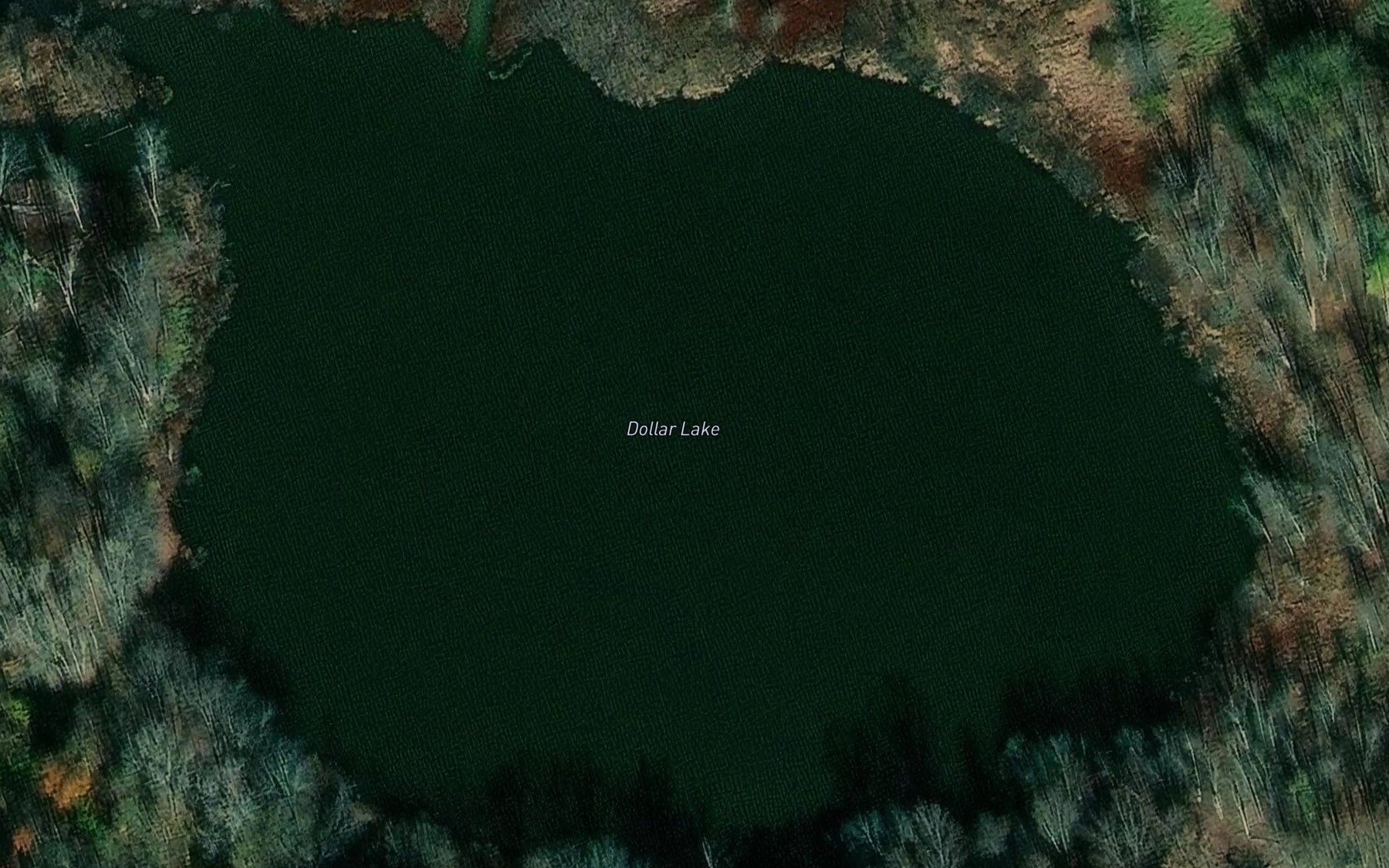Satellite map of the Dollar Lake