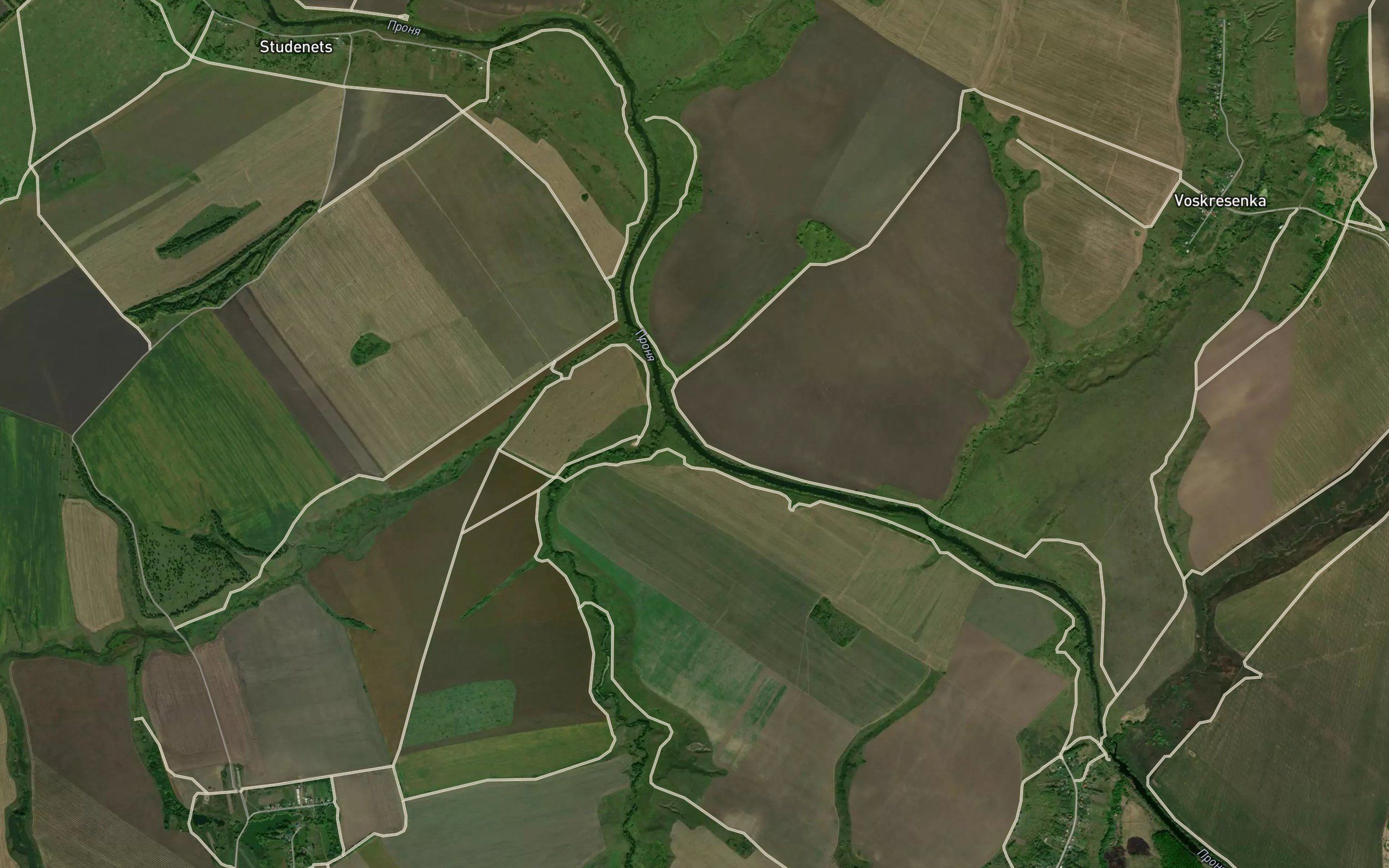 Vrashevka