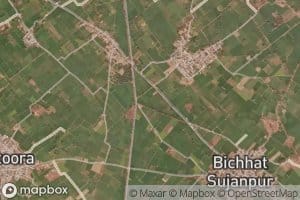 Bichat Minor