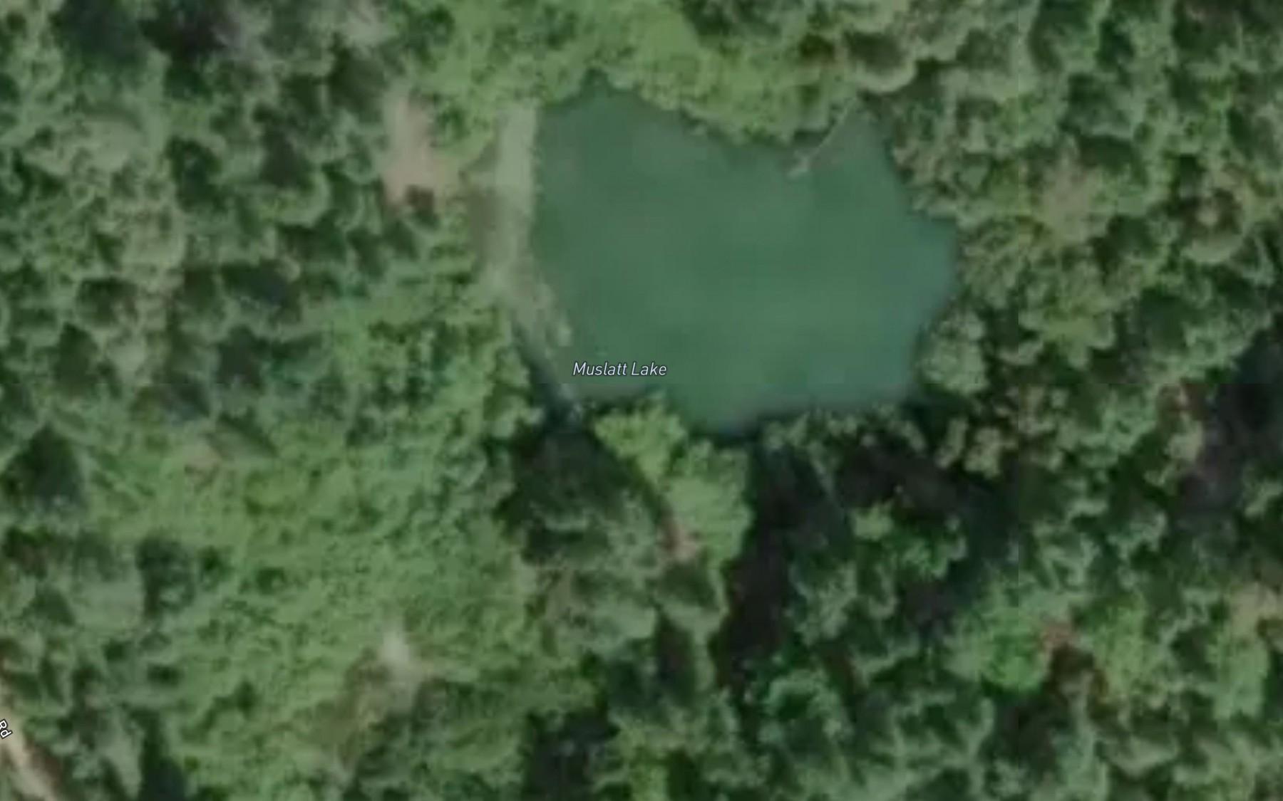 Satellite map of the Muslatt Lake