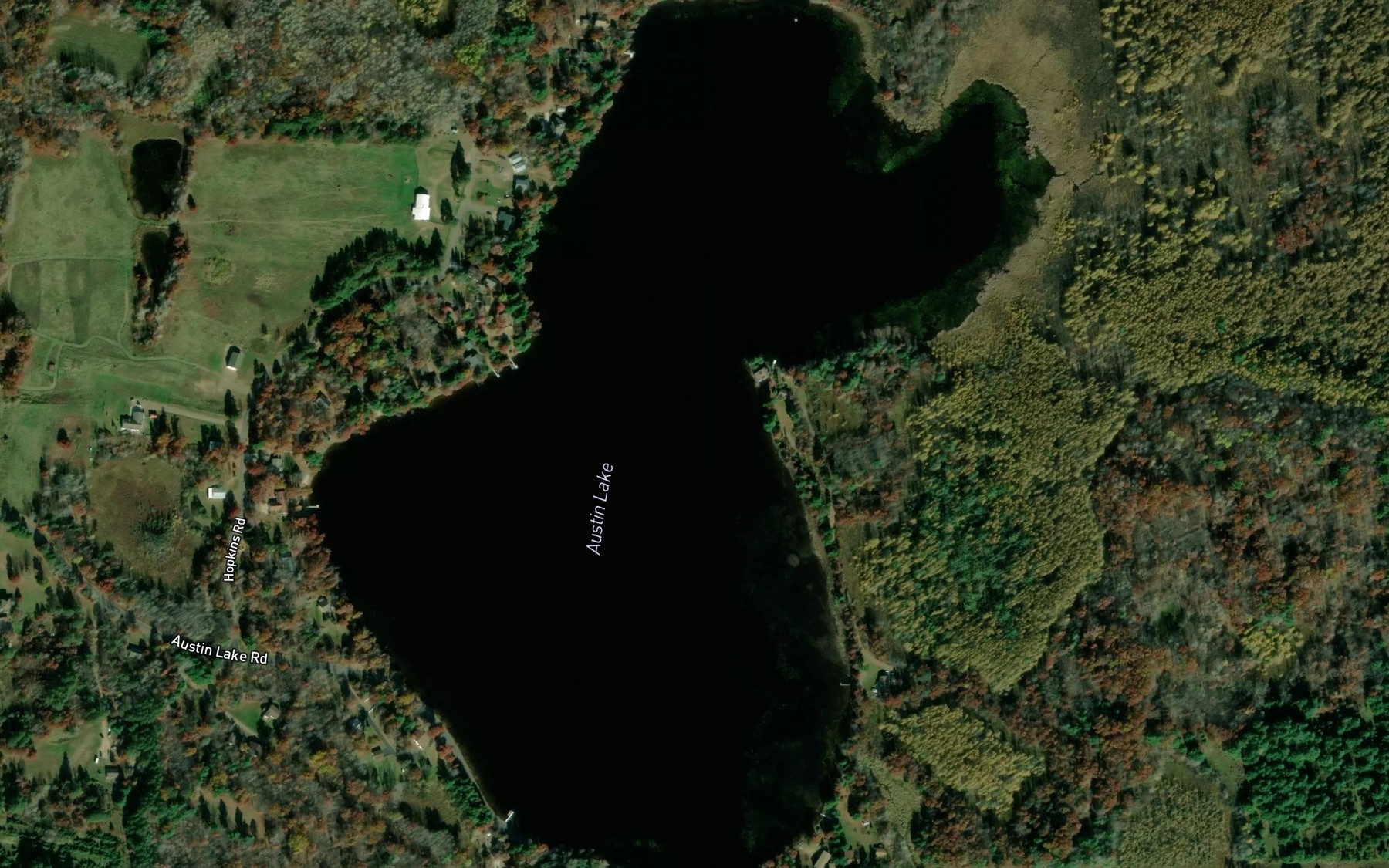 Satellite map of the Austin Lake
