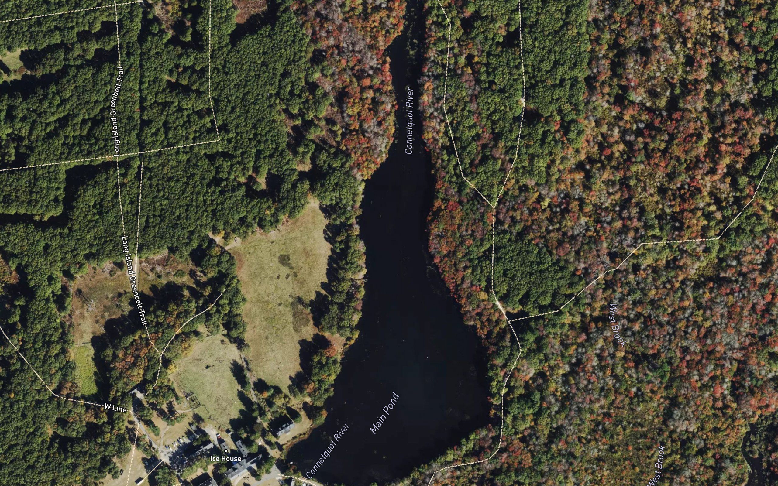 Main Pond