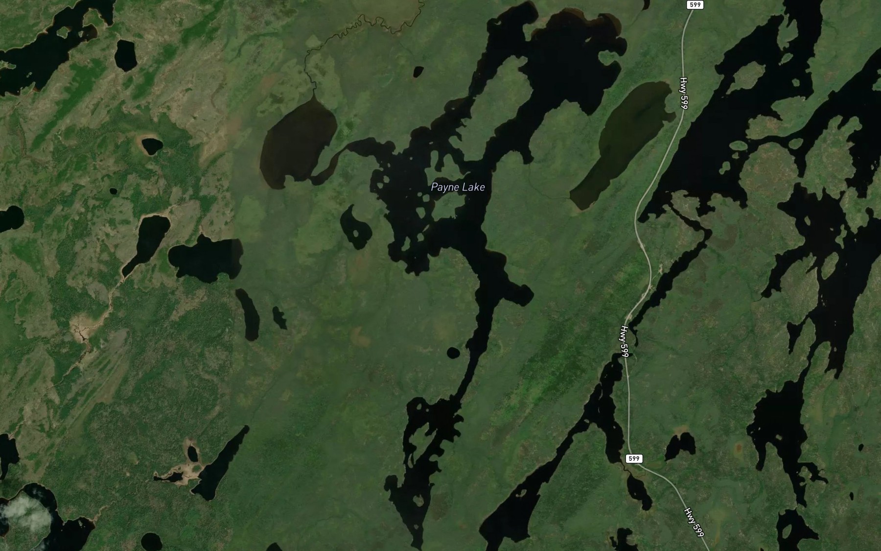 Satellite map of the Payne Lake