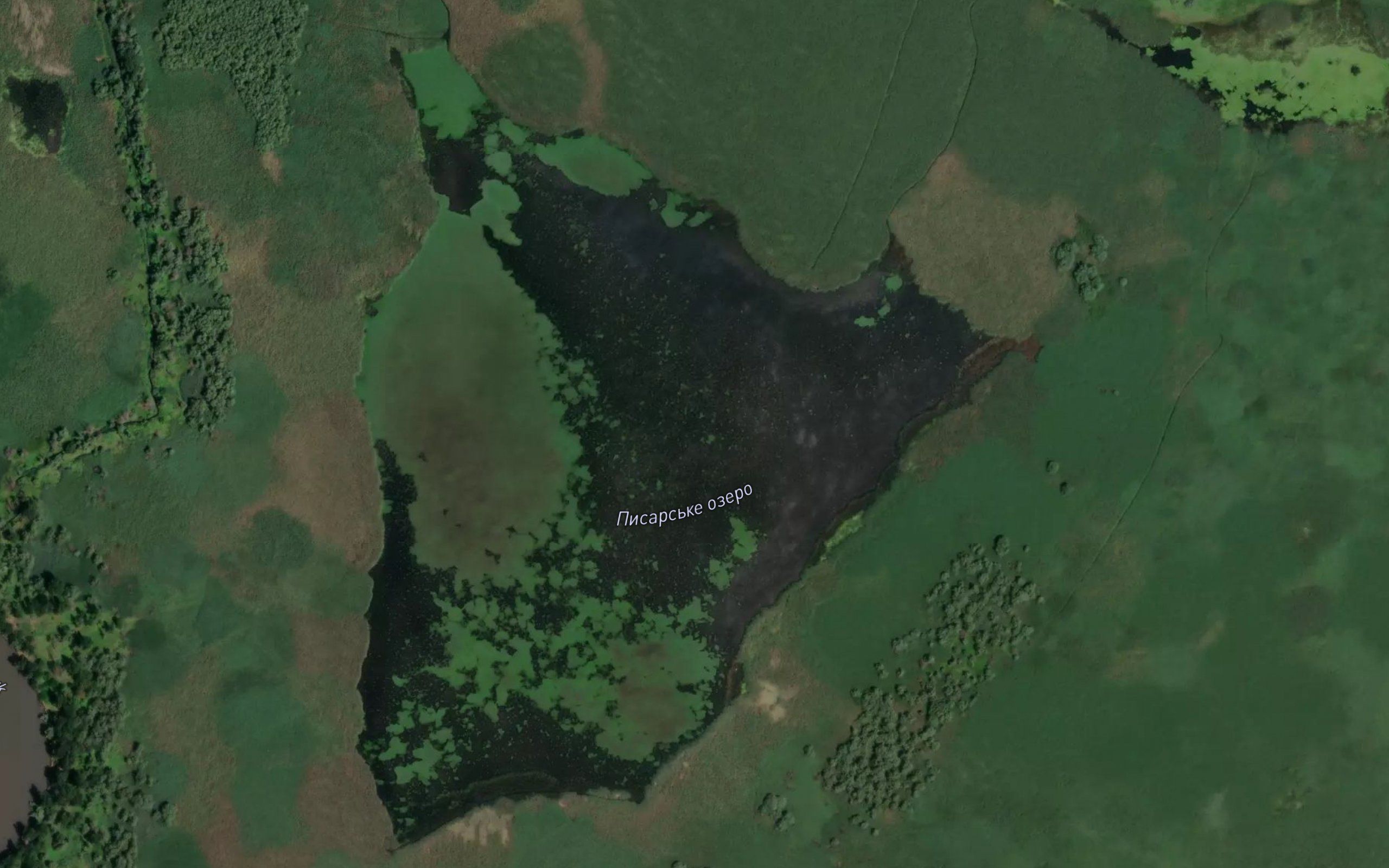 Pysarske Ozero Oz.