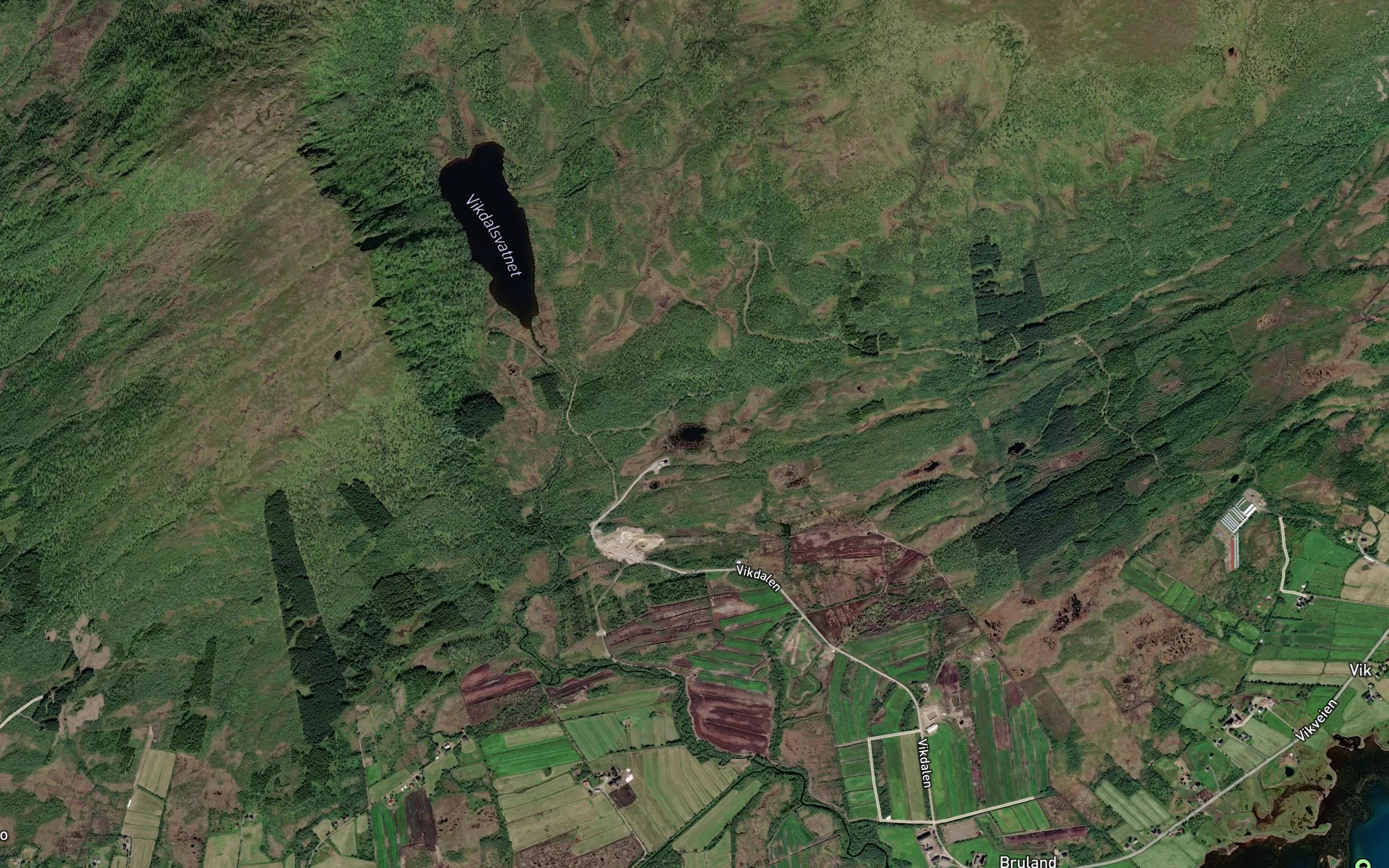 Bufjelltjorna