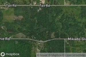 East Branch Pine River