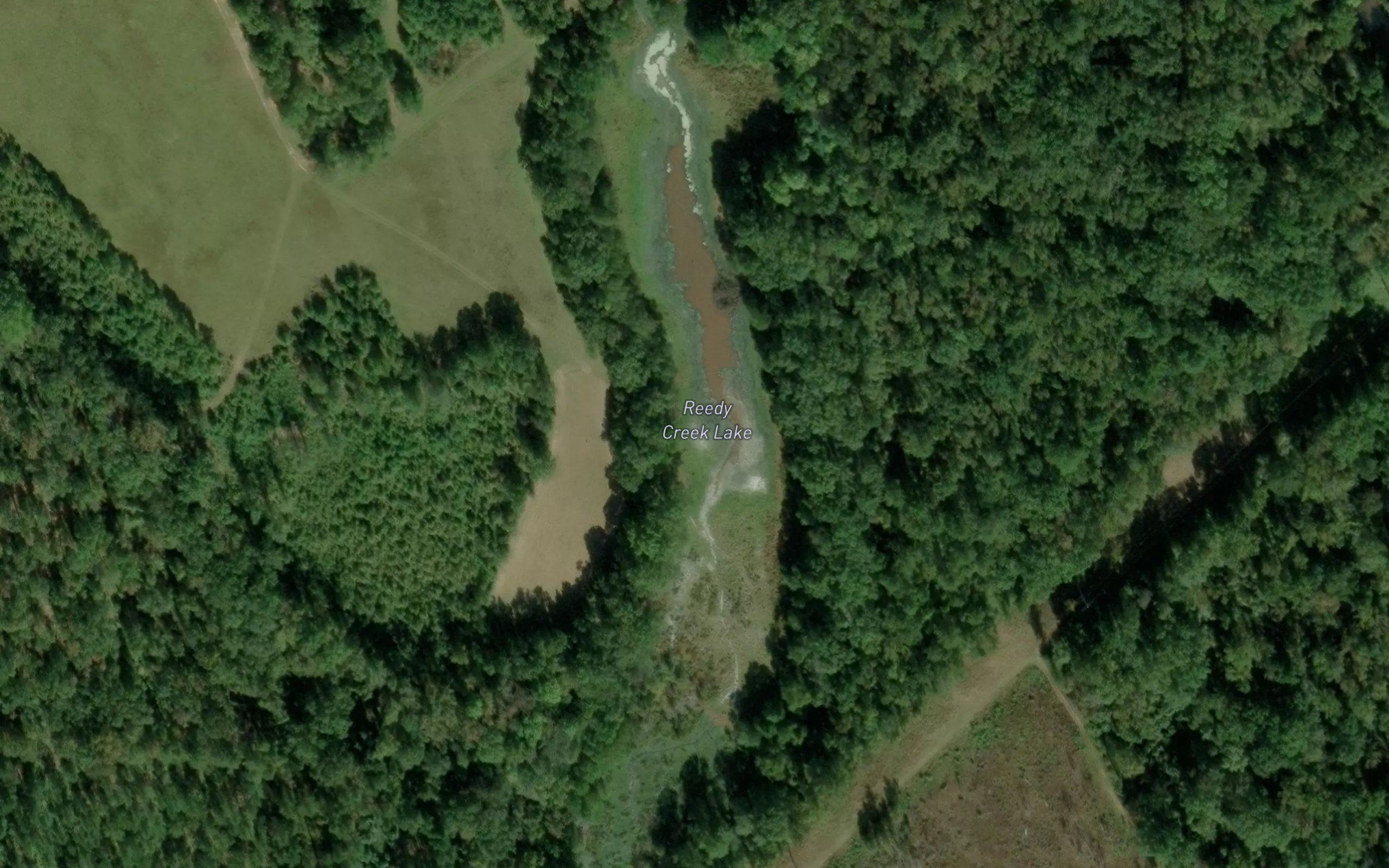 Reedy Creek Lake