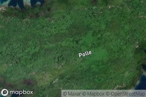 Polle Island - General Fringing Mangroves