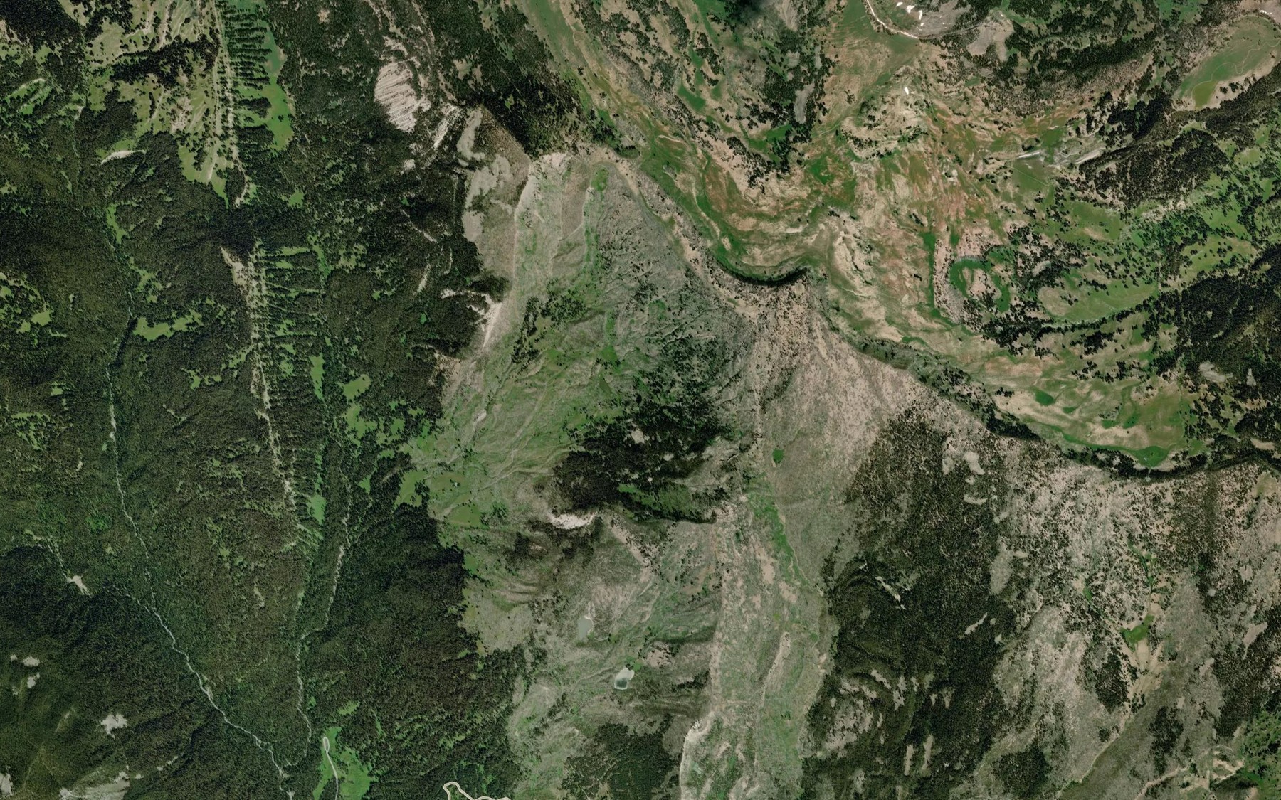 Satellite map of the Rose Lake