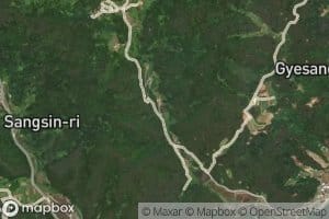 Songgok-chi