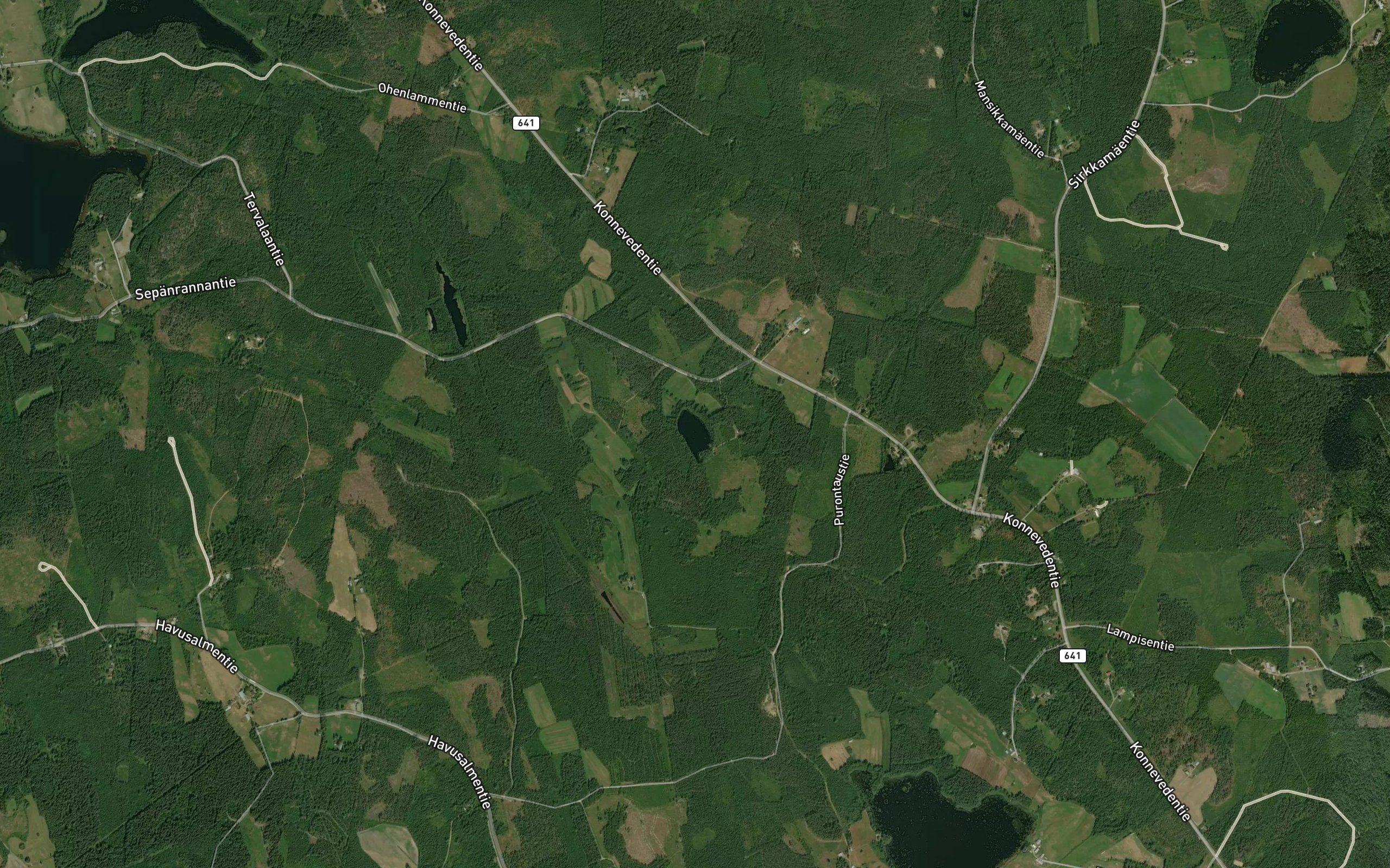Kortelampi