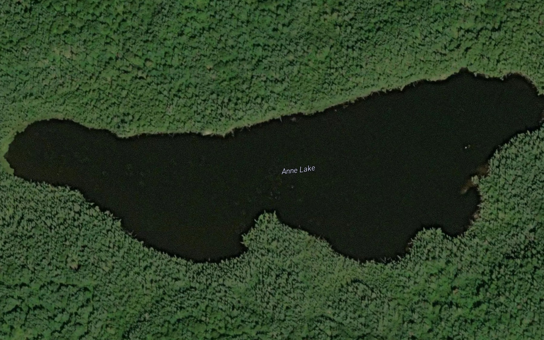 Satellite map of the Anne Lake