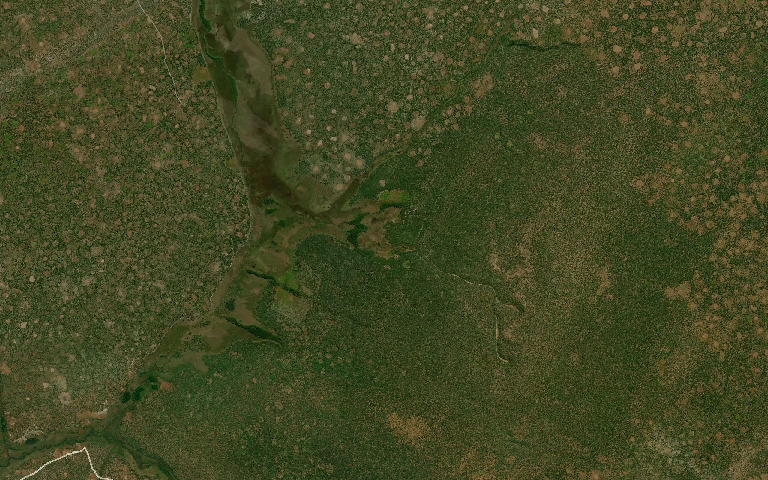 Chimbwe