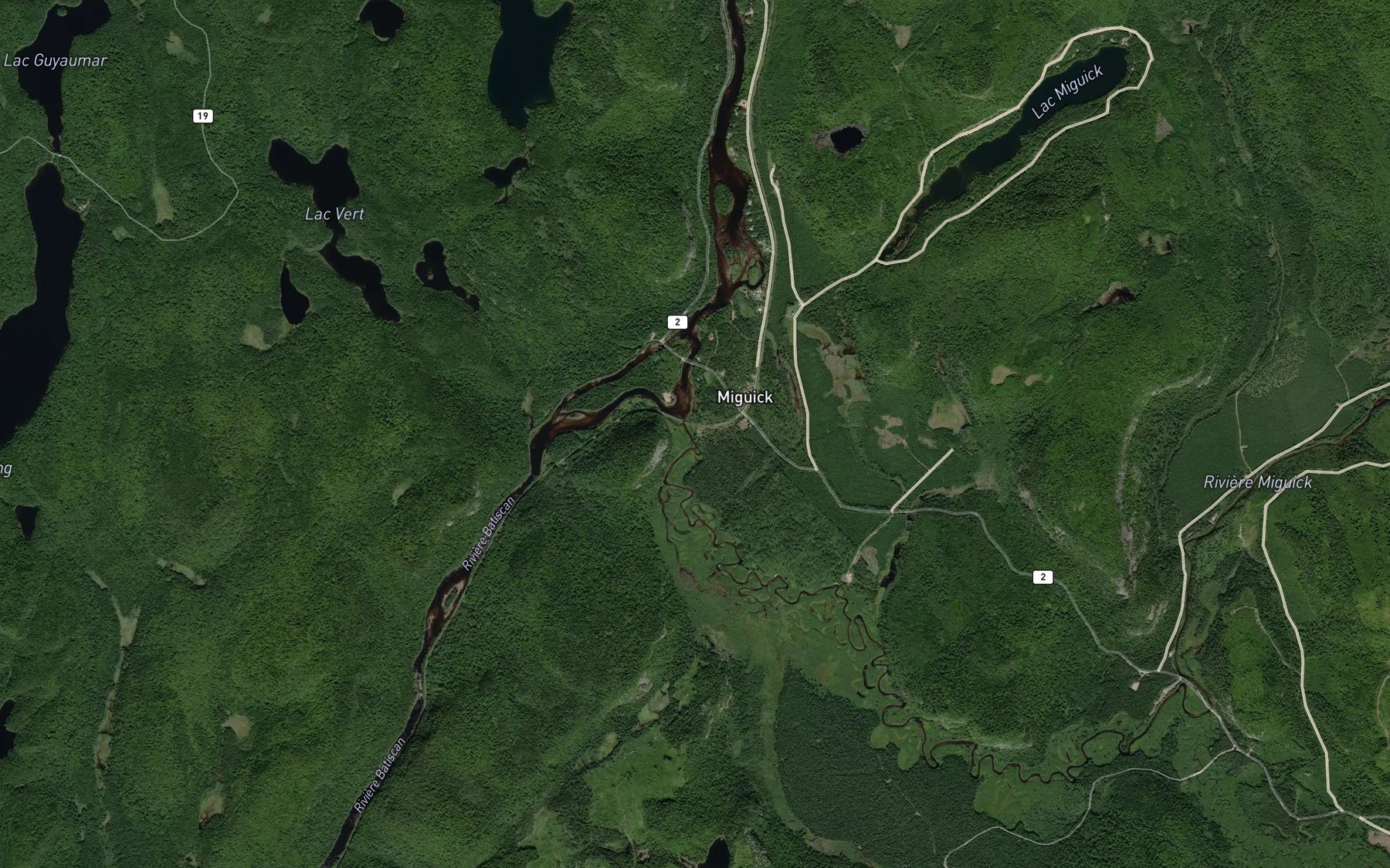 Satellite map of the Riviere Miguick