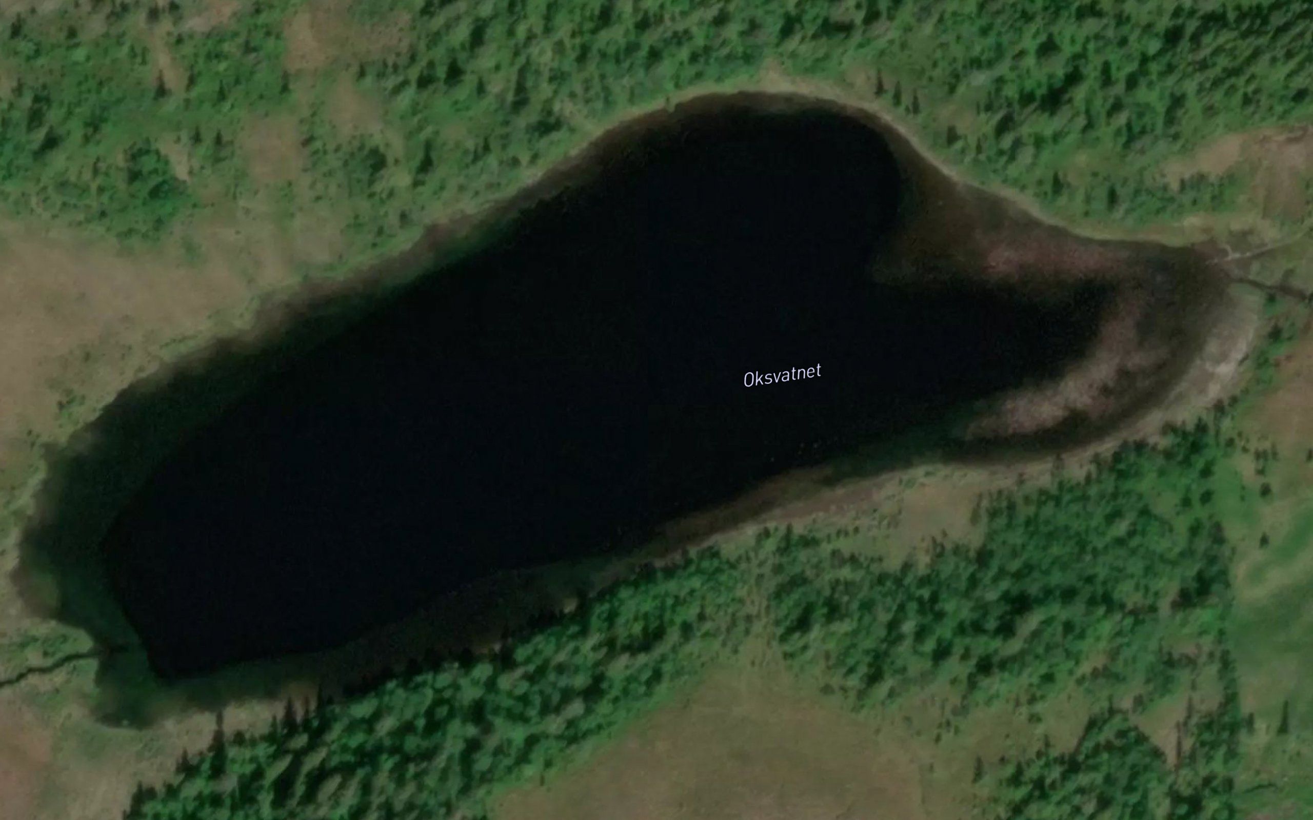 Oksvatnet