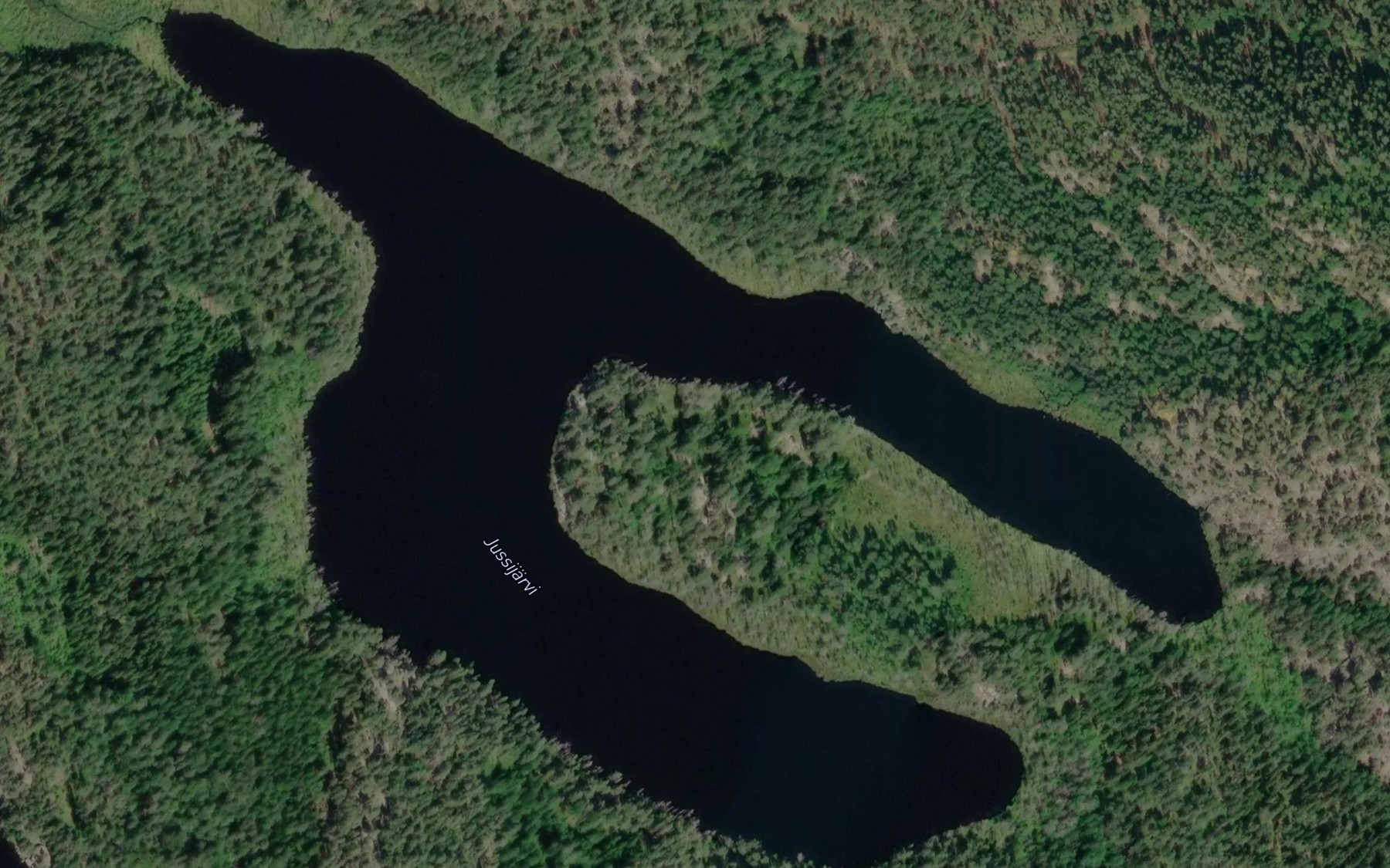 Satellite map of the Jussijarvi