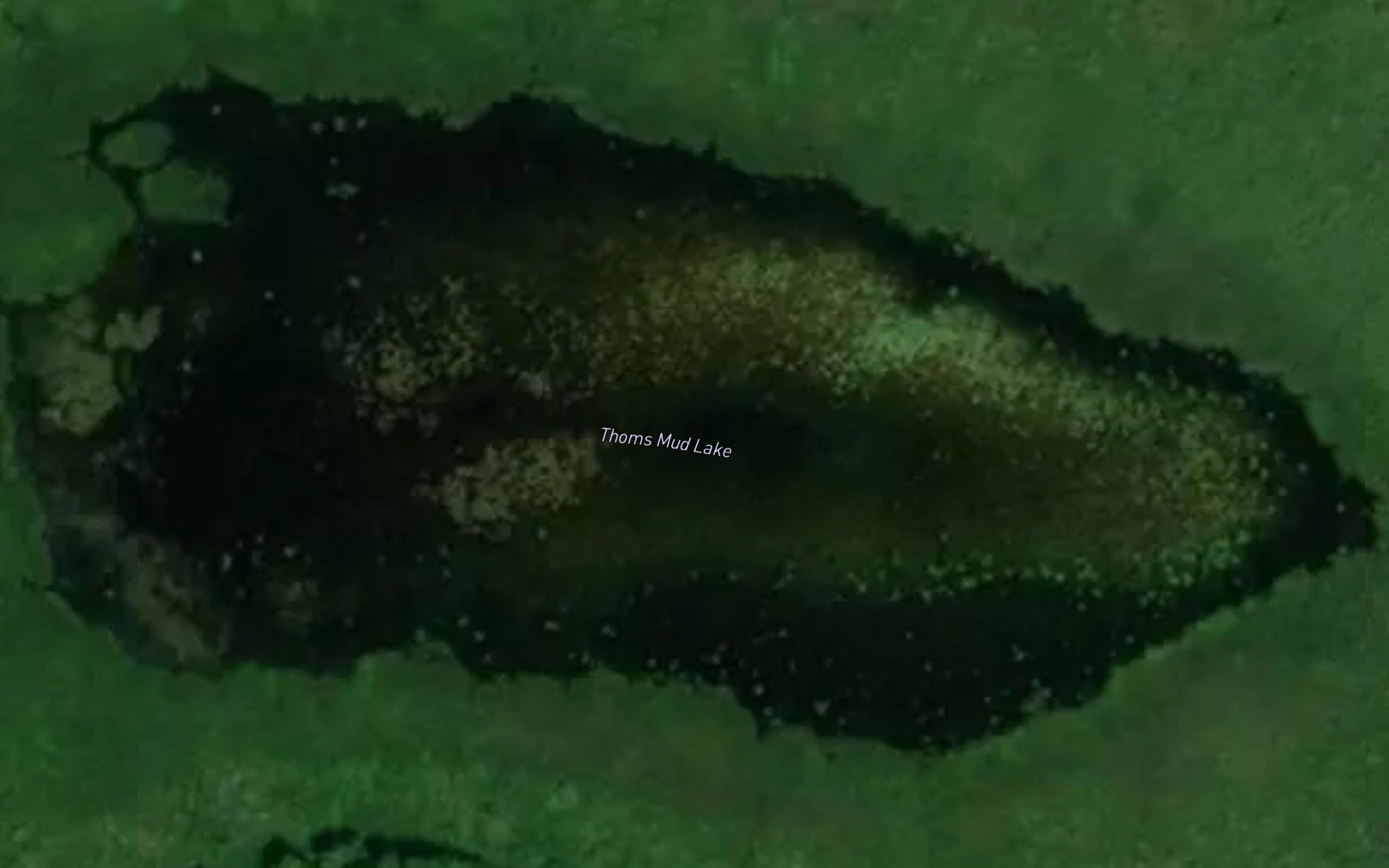 Thoms Mud Lake