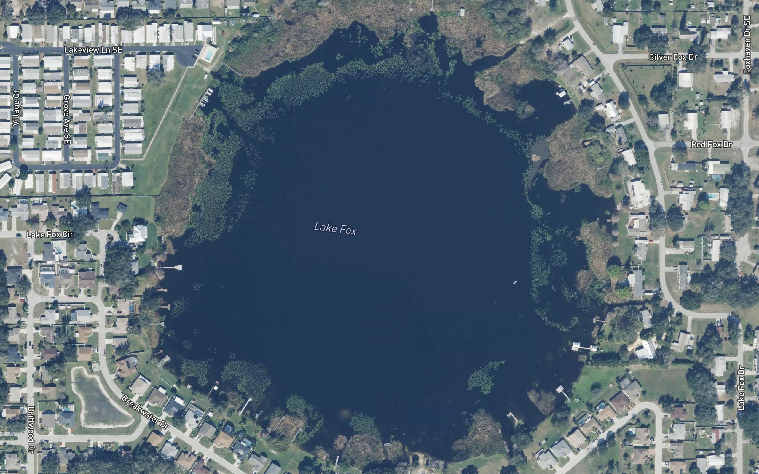 Lake Fox