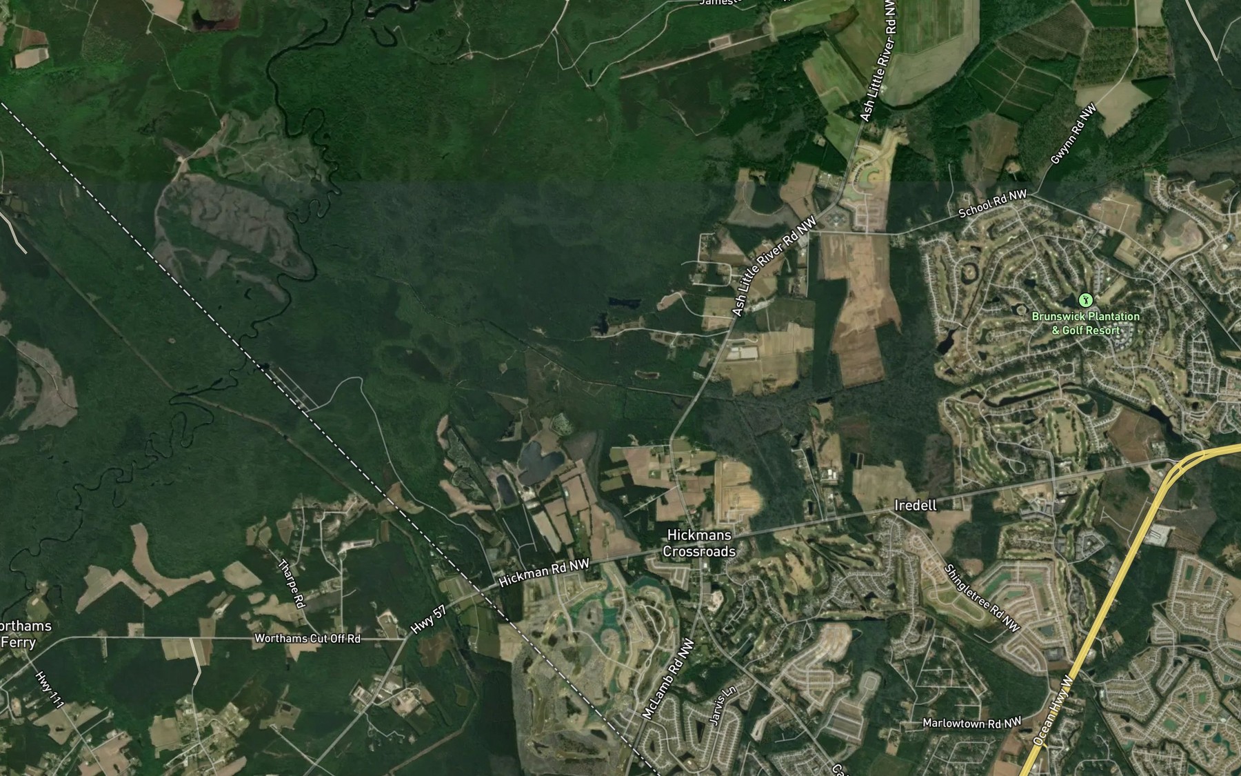 Satellite map of the Shingletree Swamp