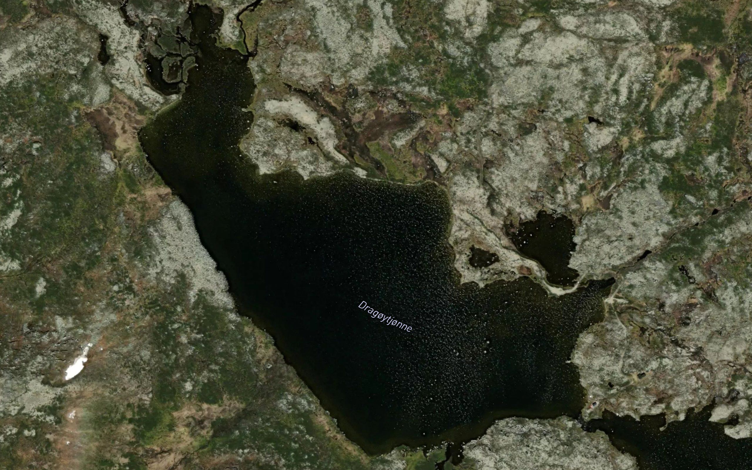 Dragoytjonne