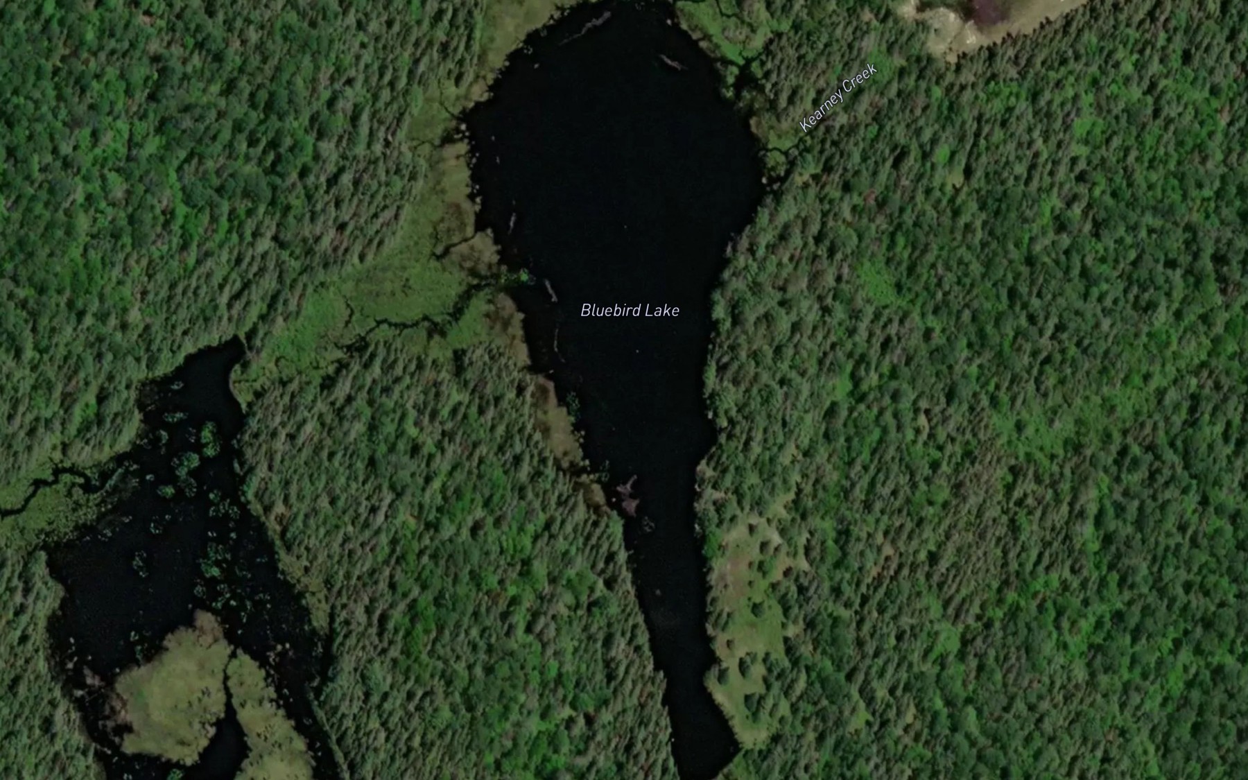 Satellite map of the Bluebird Lake
