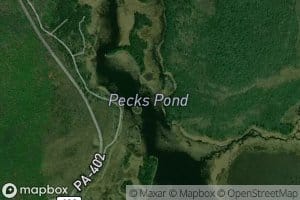 Pecks Pond