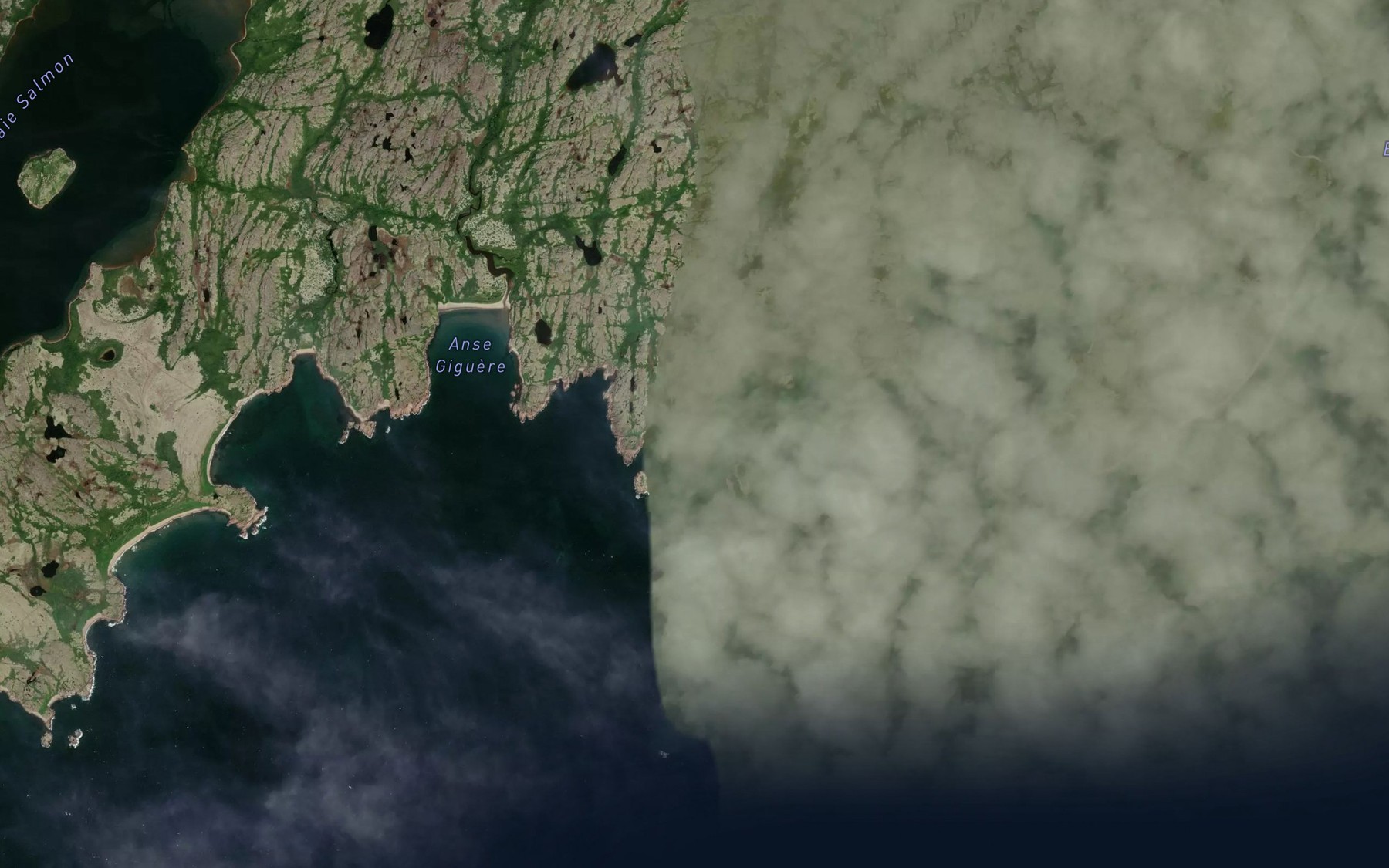 Satellite map of the Anse Little Fishery