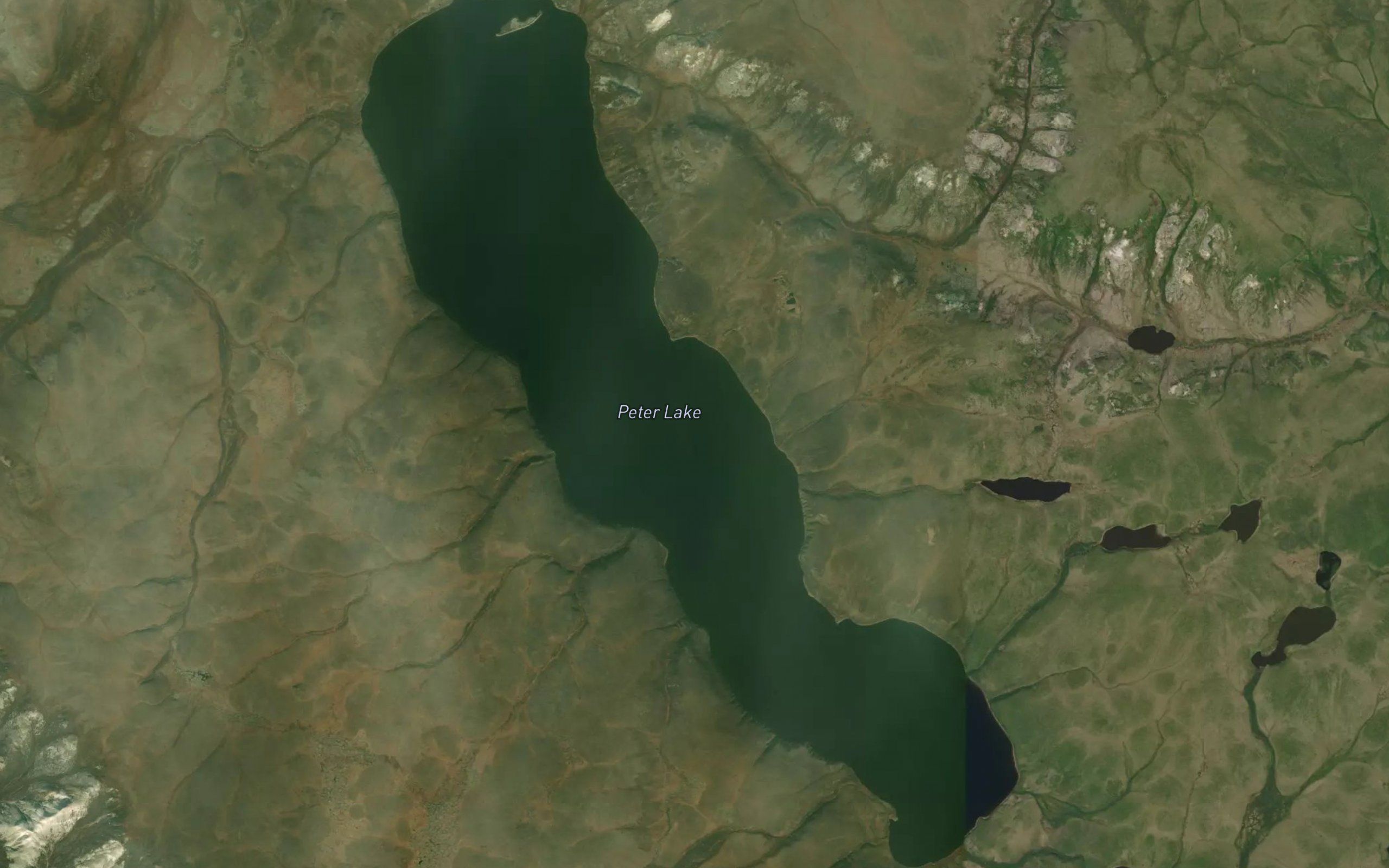 Peter Lake