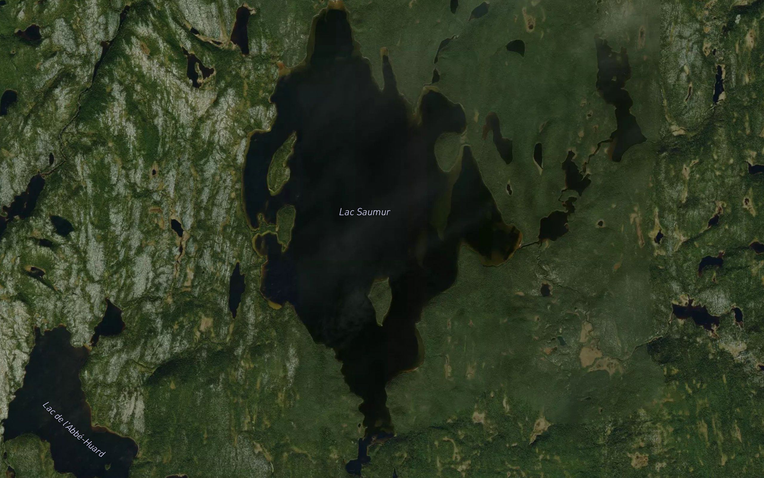 Lac Saumur
