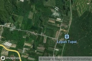 Anok Sungai Kemuning