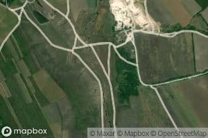 Pereni