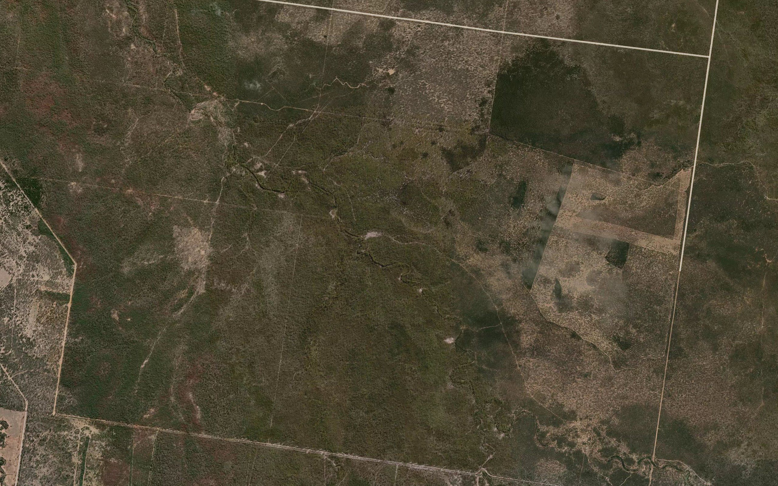 Cattle Gully