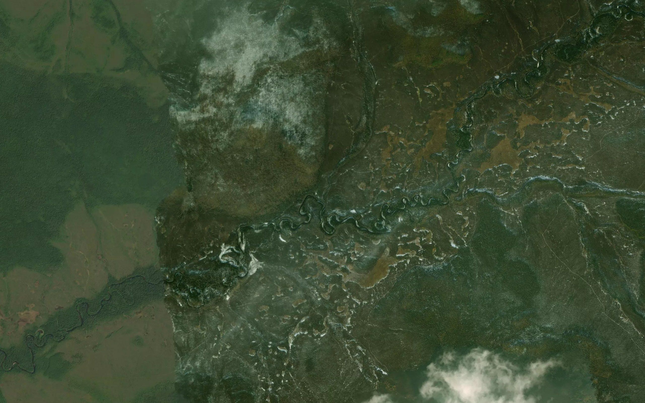 Medvezhiy