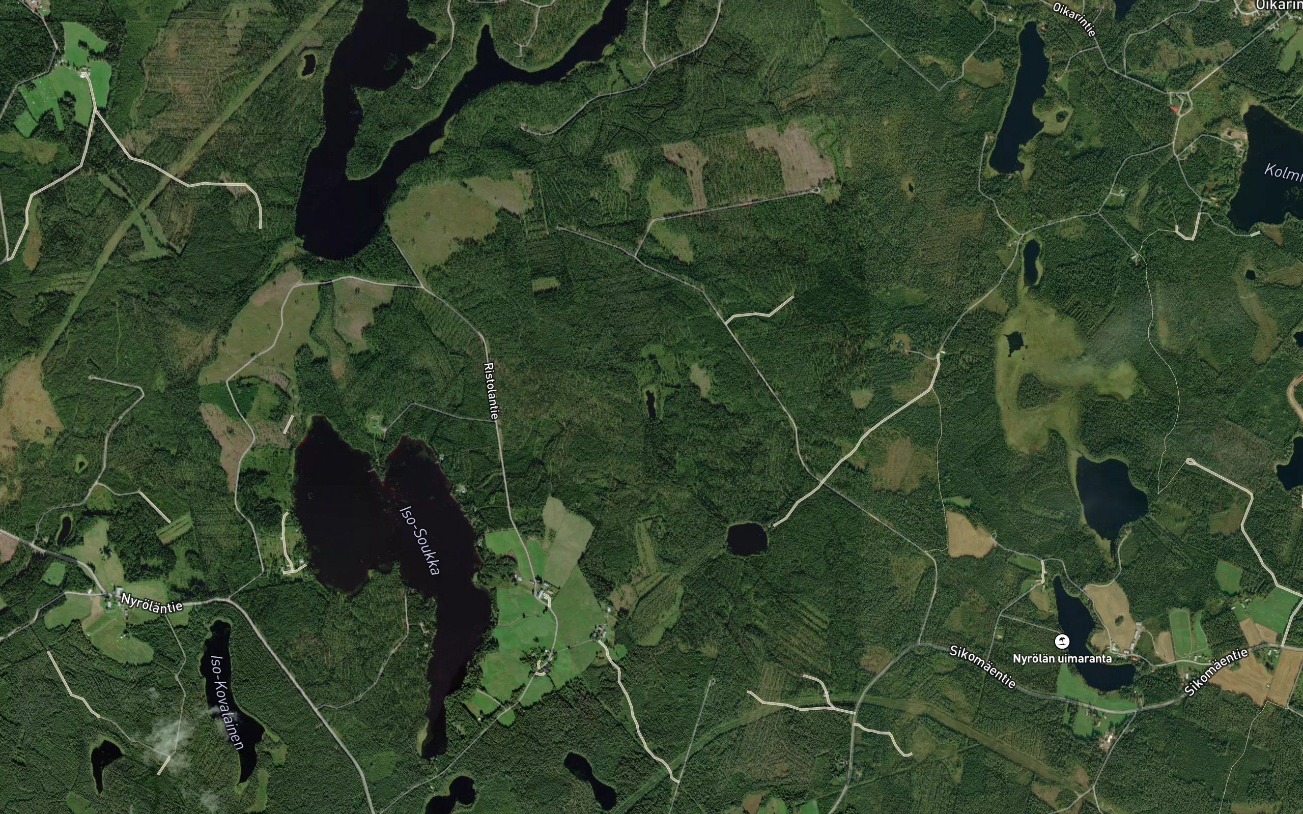 Lauttalampi