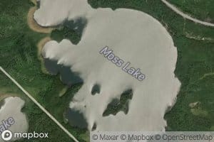 Moss Lake
