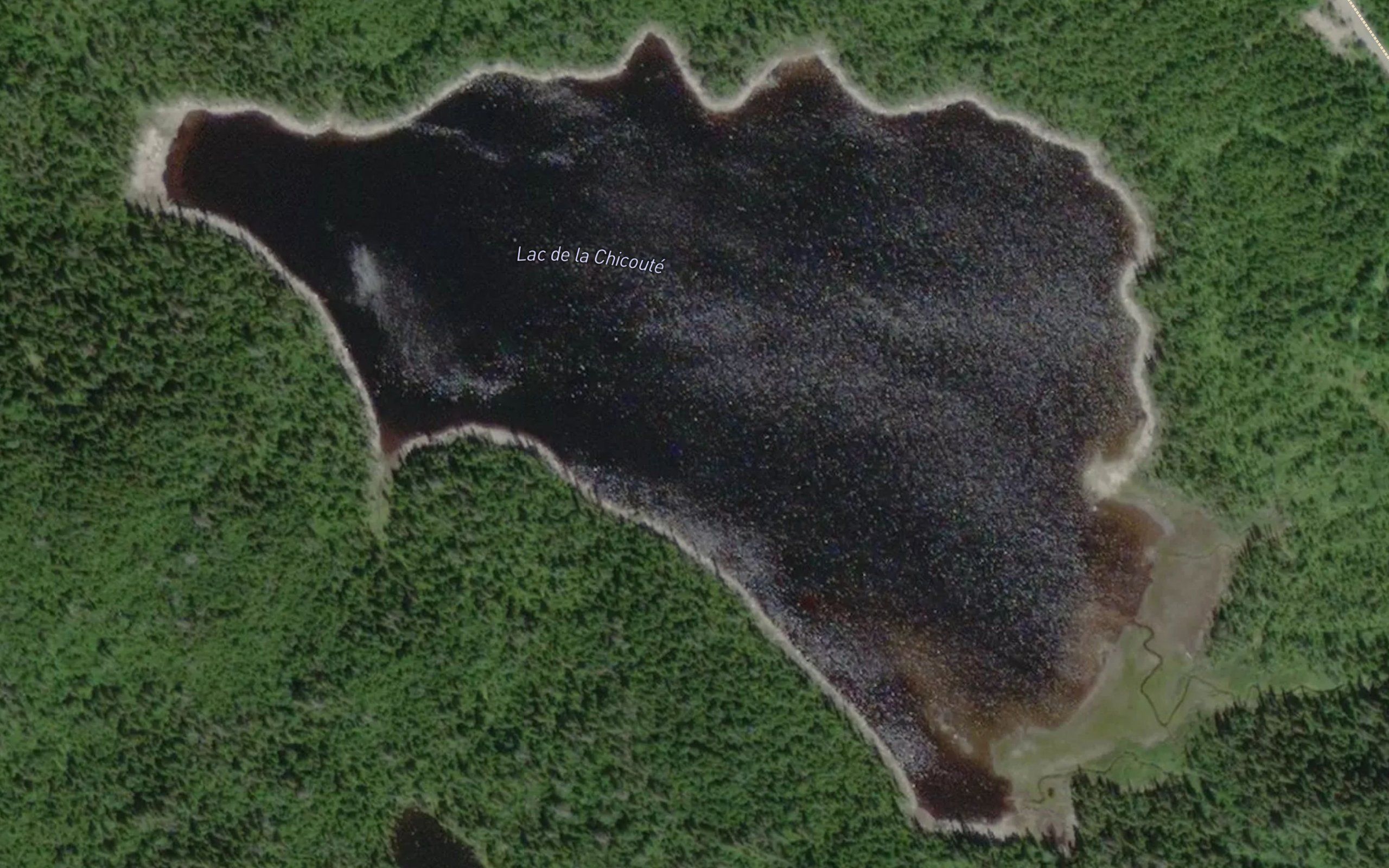 Lac de la Chicoute