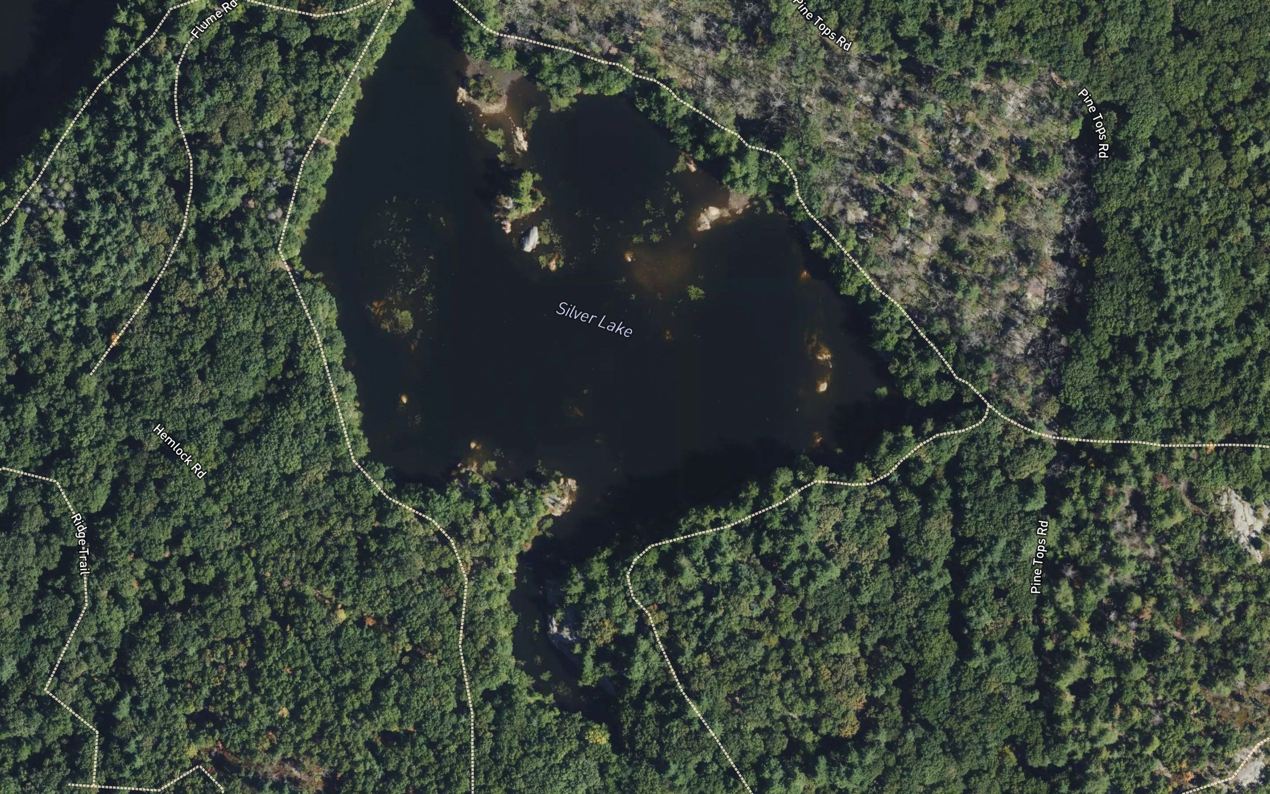 Upper Pond