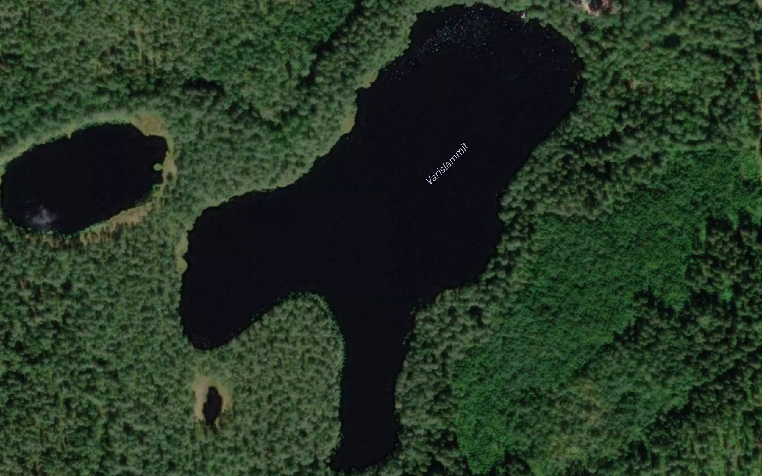 Varislammit